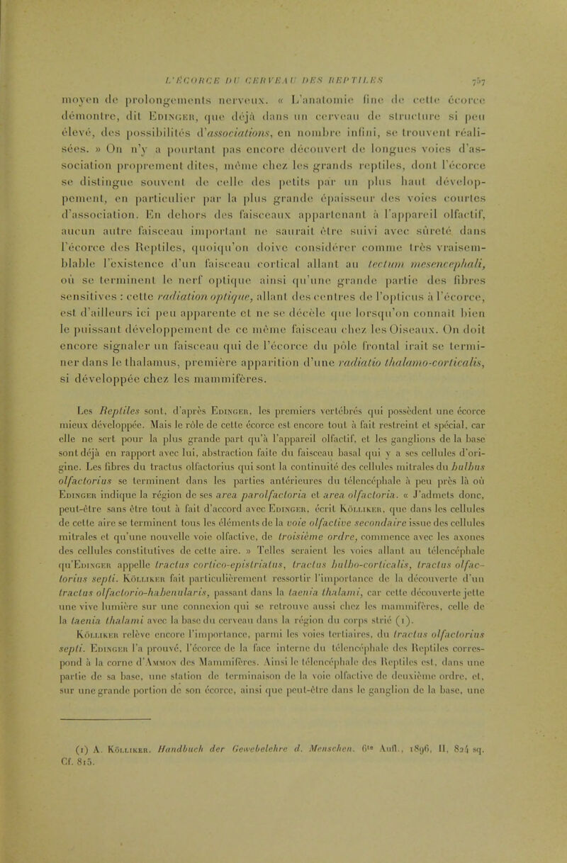 i.'l'cniiCE nr cekvem' dee hedtu.ee vn inoYiMi do |)rolon<>oiiu'nts nci'voiix. « L’aiialoinio lino do oollo cc<m'oo ddinonli'c, dil Edinuku, <|ik' doja dans iiii ooj'vciaii do slriioliii'e si poii olcvd, dos possihilitds (Vassocialions, en iionibro iidiiii, so Iroiivoiil roali- seos. » Oil n’y a poiirlant |ias cnooro ddooiivorl do loiiguos voios d’as- sociation propromcnl dilos, iiu'mo olicz los grands icjililos, doiil rdc^orce so disliiigiio soiivoiil do oollo dcs |)olil,s par iiii plus haul ddvolo|i- pemeiil, on jiarlioulior |>ar la |)lus grando dpaisseui' dos voios ooiirlcs d’assooialion. En dohors dos (aisooaux appartcnanl a I’aiiparoil olfaolil’, auoun aulro faiscoau inipoiianl no saui'ail oire suivi avcc sureld dans I’tH'oirc dos Iloplilcs, (|uoi(|u’on doivc oonsiddror ooinnie Ires vi-aisein- hlahlo rexistenoc d’un laisocau oorlioal allanl au ledum mcsancephali, ou so torininenl le norl' opliipie ainsi (pruno grando jiarlic dos fibia's sensitives : eetlc radialion opliquc, allanl dos oontros de I’optious a reoorco, est d’aillenrs ioi pen a|)|)arente cl ne so deodle (pi<^ lorscju’on eonnait bien le puissani developpeincnt de cc niome l‘ais(;eau ohez lesOiseaux. On doit encore signaler un laisoeau qui de I’ecoroe du pole frontal irail se lerini- ner dans le thalamus, premiere apparition d’une radialio ihalamo-corlicalis, si developpee chez los mammiferes. bes liepliles sonl, d’apros Edingeh, Ics premiers vertebres qui posseclent une ccorcc niieux developpee. Mais le role de eetlc ecorcc est encore tout a fait restreint cl special, car clle ne sert pour la plus grande part qu’a Tapparcil olfactil', el Ics ganglions de la base sontdeja en rapport avcc lui, abstraction failc du faisccau basal ipii y a ses cellules d’ori- ginc. Les fibres du traclus olfaclorius qui sont la conlinuite dcs cellules inilralcs du huUms olfactorius sc Icrminenl dans les parties antericurcs du telcncepbale a jicu pres la ou Edixgeh indi{[ue la region de ses area parolfacloria cl area olfacloria. « .I’admcls done, pcul-clrc .sans elre tout ii fait d’accord avcc Edingf.h, ecrit Kolukeh, que dans les cellules de cette aire sc tcrmincnl tons les elements de la vote olfaclive secondaire issue dcs cellules inilralcs ct qu’unc nouvcllc voic olfaclive, de Iroisieme ordre, commence avcc les axoncs dcs cellules conslilulives de ccllc aire. » Tcllcs scraient les voies allanl au telcncepbale qu’Em.xGEU appcilc Iraclus corlicn-epislrialiis, Iraclus hidho-corlicalis, Iractiis olfac- loriiis sepli. Kom.ikeh fait parliculiercmcnl rcssoiiir rimpoiiancc de la decouverte d’uii Iraclus olfaclorin-hahenularis, passant dans la laeiua lhalami, car celle decouvciic jeltc line vivo lumierc sur une connexion ipii se rclrouvc aussi ebez les mammiferes, ccllc dc la taenia lhalami avcc la basedu cerveau dans la region du corps strie (i). Roi.mkeii rclevc encore I’importancc, parmi Ics voies tcriiaires, du Iraclus olfaclorius sepli. Edingeh fa prouve, I’ecorcc dc la face interne du lelencepbalc dcs llejililes corres- pond a la come d’AnMON des Alammifercs. ,\insi le lebmeepbale des Rejililes est, dans une parlie de sa base, une station dc lerminaison dc la voic olfactivc dc deuxieme ordre, el, sur une grande portion dc son ecorce, ainsi que peut-elrc dans le ganglion de la base, une (i) A. Koluker. Uandbuch dor Gewebelehrc d. Menschen. fi'« .\iifl., iSijfi, II, Sa.'i sq. Cf. 8i5.