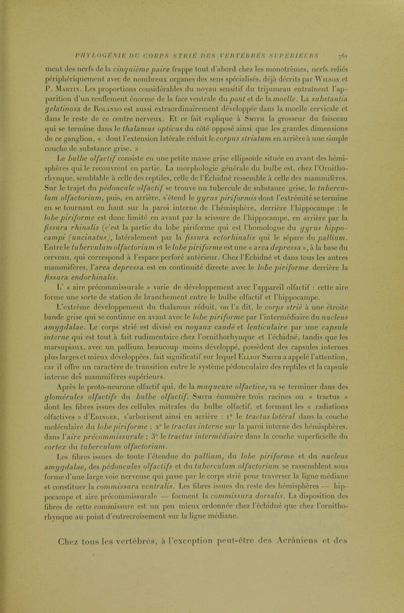 piiYLoai-Mi: Dij conrs srniii Dies I'leiirj-'nines siepieiiiieciis 70, incnl ill's nerfs ile la ciiKjiiicme pnire IVappc tout il’aboril clicz Ics monolreincs, iierfs relics periplierirpicinonl avee (Ic noinbrenx organcs tics sens specialises, ileja tlccrils par AN'ii.sox el P. Muitin. Lcs proportions consitlcrables ilu noyau sensilif tin trijnincau enlrainenl I’ap- parilion tl’iin rcnllcinenl cnorinc tic la face vcnii’ale tin ponl cl clc la moelle. La siihslanlin (/elalinosa tic Rolando csl anssi cxlraortlinaircnicnl (levcloppec dans la moelle cervicale cl flans Ic rcsle tic cc centre nerveux. El cc Tail cxplitpie a Smith la grosscur tin I’aisccau qui sc Icrminc clans Ic Ifuilamiis opticus du c6le oppose ainsi qiic Ics grandcs dimensions clc cc ganglion, « donl rcxlcnsion laltnadc retluil le corpus striatum cn arricrc a unc simple couclic do substance grisc. » Lc hulhe olfactif conshlc en unc pctilc masse grisc cllipsoiilc siluce cn avanl ties bemi- spbcrcs qui lc rccouvrcnt cn partic. La morpbologie gcncralc du bulbc csl, ebez rOrnilbo- rhynque, scmblablc a cello ties reptiles, ccllc tie I'Ecbidnc rcsscmble a cclle des mammilercs. Sur le trajcl du pcdoncule olfactif sc trouve un lubcrculc clc substance grisc, lc tuhercu- lum olfactorium, puis, cn arricrc, s’clend \c (/i/rus piriformis i\onl rcxlremilc sc Icrminc cn sc lournant cn Jiaul sur la paroi interne dc I’liemisphcrc, dcrrierc I’bippocampe ; le lobe piriforme csl done limile cn avanl par la scissurc tie I’bippocampc, cn arricrc par la fissura rhinalis (c’csl la parlic du lobe piriforme qui csl I’bomologuc du (ffjrus hippo- campi (uncinatus), laleralcmcnt par la fissura ectorhinalis tpii lc separc du pallium. Enlrc le tuherculum olfactorium cl lc lol)epiriforme csl unc « area depressa », a la base du cerveau, qui correspond a I’cspace perfore anlerieur. Chez I’Ecliidne cl dans lous les aulres mammifercs, Parea depressa csl cn continuite direclc avee le lobe piriforme dcrrierc la fisslira endorhinalis. L’ « aire precommissuralc » varic dc dcYcloppemcnt avee I’appareil olfactif : ccllc aire Ibrmc une sorlc dc station tie brancliemciil cnlrc le bulbc olfactif cl I’liippocampc. L’exlremc dcveloppcmenl du ibalamus retluil, on I’a dil, le corps strie a une etroile banclc grisc qui sc continue cn avanl avee lc lobe piriforme par I’inlcrmediaire du nucleus amygdalae. Le corps strie csl divisc cn noyaux caude cl lenticulaire par unc capsule interne qui csl tout a fait rudimentaire cbez I’ornitborbynfjuc el reebidne, landis que les marsupiaux, avee un pallium beaucoup moins devcloppe, possedent tics capsules inlcrnes |)lus larges cl mieux developpecs, fall signillcalif sur Icipi.el Elliot Smith aappcle I’attcntion, car il olfrc un caraclerc dc transition cnlrc le syslemcpedonculaire tics reptiles cl la capsule interne des mammifercs superieurs. Apres lc proto-ncuronc olfactif tjui, dc la mugueuse olfaclive,\a sc Icrmincr dans des ylomerules olfactifs du bulbe olfactif. Smith enumerc Irois racines ou « Iraclus » donl les libres issues tics cellules milralcs du bulbc olfactif. cl formant les « radiations olfaclives » d’EnixcKU, s’arboriscnt ainsi cn arricrc : 1“ le tractus lateral tlans la couebe moleculairc du lobe piriforme ; 3° lc tractus interne sur la paroi interne des litMulspliercs, dans Wiire precommissurale ; 3 lc Iraclus intermediaire dans la couclic sujierUcicIlc du cor/c.c du tuberculum olfactorium. Les libres issues dc tonic relcndiie du pallium, du lobe piriforme cl du nucleus amijf/dalae, des pedoncules olfactifs cl du tuberculum olfactorium sc rasscmblcnl sous forme crime large voic ncrvcusc qui passe par lc corps strie pour Iraierser la ligne mediane el constilucr la commissura ventralis. Les fibres issues du reslc ties litMiiispbercs — bip- pocampc cl aire precommissuralc — formcnl la commissura dorsalis. La disposition ties fibres dc ccllc commissure esl un peu mieux ortloimee clicz fecliidne t|uc clicz fornilho- rbynqiic au point d’ciilrccroiscmenl sur la ligne mediane. Clioz lous It'S vorlebres, a I’cxcopfion pout-t^li’t' dos .Acninicns el ties