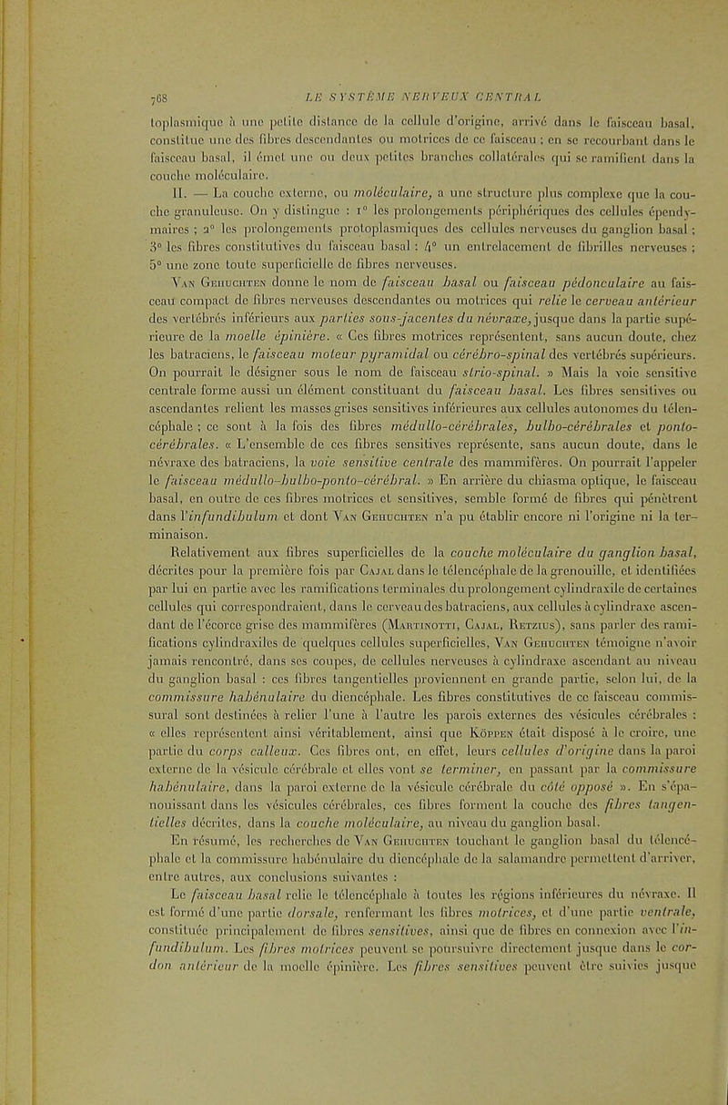 loplasiniquc ii unc pclilc clislancc clc la cellule d’origine, arrive dans Ic (aisccaii basal, conslilue une des fdDres dcscendanlcs ou molriccs de ce faisceau ; en se recourbanl dans le faisccau basal, il dmcl. une ou deux pelitcs brandies collalerales cjui se ramillenl dans la couebe moleculaire. II. — La couebe exlerne, ou moleculaire, a unc structure plus complexe que la cou- ebe granulcusc. On y distingue : i“ les prolongements periplieriqucs des cellules ependv- maircs ; 2“ les prolongements protoplasmiques dcs cellules nerveuses du ganglion basal ; 3° les fibres constitutives du 1'ai.sceau basal : 4“ un entrclacement dc librilles nerveuses ; 5“ unc zone toute supcrficicllc dc fibres nerveuses. Y.xn Gkiiuciiten donne le nom dc faisceau basal ou faisceau pecloncalaire au fais- ccau compact de fibres nerveuses descendantes ou motriccs qui relie le cerueau anlerieur des vertebres inferieurs aux parlies sous-jacenles da jusque dans la partie supe- ricure de la moelle epiniere. « Ges fibres motrices represcnlent, sans aucun doute, cbez les batraciens, le faisceau moteur pyramidal ou cdrebro-spinal des vertebres superieurs. On pourrait le designer sous le nom de faisceau slrio-spinal. jj Mais la voic sensitive centrale forme aussi un element constituent du faisceau basal. Les fibi’es sensitives ou ascendantes relient les masses grises sensitives inferieures aux cellules autonomes du telen- cdpbale ; ce sont a la fois des fibres medullo-cerebrales, balbo-cerebrales ct ponlo- cerebrales. « L’ensemble de ces fibres sensitives represente, sans aucun doute, dans le ndvraxe dcs batraciens, la voie sensilive ceiilrale des mammiferes. On pourrait I’appeler le faisceau medullo-bulbo-ponto-cerebral. y> En arriere du cliiasma optique, le faisccau basal, en outre de ces fibres motrices et sensitives, semble forme de fibres qui penetrent dans Vinfundibulum et dont Van Geuuchten n’a pu etablir encore ni I’origine ni la ter- minaison. Relativement aux fibres superficielles de la couche moleculaire du ganglion basal, ddcrites pour la premiere fois par Cajal dans le telencepbale dc la grcnouille, et idcntifiecs par lui en partie avec les ramifications terminales duprolongement cylindraxile de ccrtaincs cellules qui correspondraient, dans le cerveau des batraciens, aux cellules acylindraxe ascen- dant del’ecorce grise des mammiferes (Mautinotti, Cajal, Retzius), sans parler des rami- fications cylindraxilcs de quelques cellules superficielles. Van GEnuciiTEN temoigne n’avoir jamais rencontre, dans ses coupes, de cellules nerveuses a cylindraxe ascendant au niveau du ganglion basal : ces fibres tangenticlles proviennent en grande partie, scion lui, dc la commissure habenalaire du diencephale. Les fibres constitutives dc ce faisccau commis- sural sont destinees a relier I’une a I’autre les parois externes des vesicules cerebrales : « dies representent ainsi veritablement, ainsi que Koppen etait dispose a le croirc, une partie du corps calleax. Ces fibres ont, en effet, leurs cellules d’origine dans la paroi externe de la vesiculc cerebrale et dies vont se terminer, en passant par la commissure hahenulaire, dans la paroi externe dc la v^sicule cerebrale du cole oppose ». En s’epa- nouissant dans les vesicules cerebrales, ces fibres forment la couebe des fibres langen- lielles decrites, dans la couche moleculaire, au niveau du ganglion basal. En resume, les rcclicrcbcs dc Van GEiiucirrEN touchant le ganglion basal du tdence- phale ct la commissure liabenulairc du diencephale de la salamandrc permettent d’arriver, entre autres, aux conclusions suivantes : Le faisceau basal relic le telencepbale a toutes les regions inf6rieures du nevraxe. 11 cst forme d’unc partie dorsale, renfermant les fibres motrices, et d’une partie ventrale, constituee principalcmcnt dc fibres sensilives, ainsi que dc fibres en connexion avec I’ui- fumlibulum. Les fibres motrices peuvent sc poursuivre directement jusque dans le cor- don anlerieur do la moelle epiniere. Les fibres sensitives peuvent etre suivies jusque