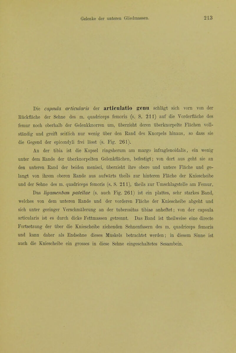 Die capsula articularis der articulatio genu schlagt sich vorn von der Ruckflache der Sehne des m. quadriceps femoris (s. S. 211) auf die Vorderflache des femur nocli oberhalb der Gelenkknorren um, liberzieM deren ilberknorpelte Flachen voU- standig und greift seitlich nur wenig iiber den Eand des Knorpels hinaus, so dass sie die Gegend der epicondyli frei lilsst (s. Fig. 261). An der tibia ist die Kapsel ringsherum am margo infraglenoidalis, ein wenig unter dem Eande der iiberknorpelten Gelenkflachen, befestigt; von dort aus geht sie an den unteren Rand der beiden menisci, iiberzieht iiire obere und untere Fiache und ge- langt von ihrem oberen Rande aus aufwarts theils zur hinteren Fiache der Kniescheibe und der Sehne des m. quadriceps femoris (s. S. 211), theils zur Umschlagstelle am Femur. Das ligamenium patellae (s. auch Fig. 261) ist ein plattes, sehr starkes Band, welches von dem unteren Rande und der vorderen Fiache der Kniescheibe abgeht und sich unter geringer Verschmalerung an der tuberositas tibiae anheftet; von der capsula articularis ist es durch dicke Fettmassen getrennt. Das Band ist theilweise eine dii-ecte Fortsetzung der uber die Kniescheibe ziehenden Sehnenfasern des m. quadriceps femoris und kann daher als Endsehne dieses Muskels betrachtet werden; in diesem Sinne ist auch die Kniescheibe ein grosses in diese Sehne eingeschaltetes Sesanibein.