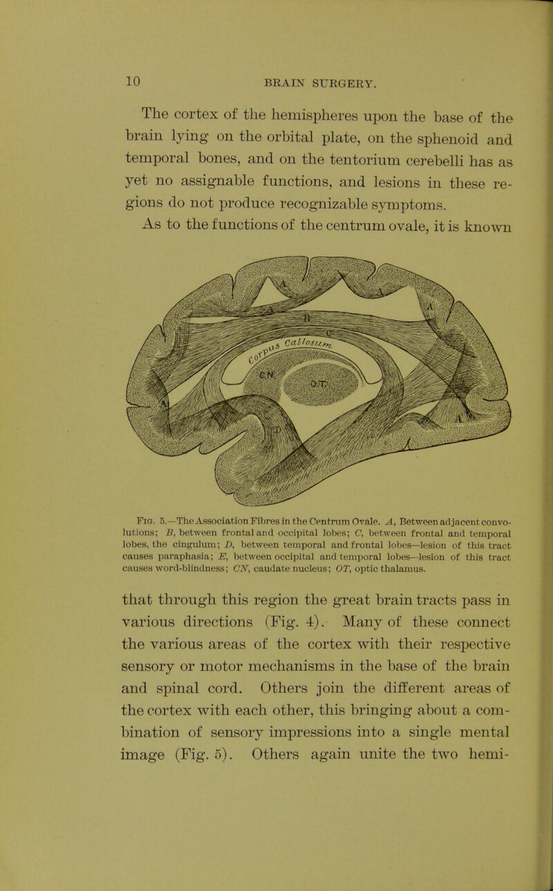 The cortex of the hemispheres upon the base of the brain lying on the orbital plate, on the sphenoid and temporal bones, and on the tentorium cerebelli has as yet no assignable functions, and lesions in these re- gions do not produce recognizable symptoms. As to the functions of the centrum ovale, it is known Fig. 5.—The Association FiVjres in the Centrum Ovale. A, Between ad jacent convo- lutions; jB, between frontal and occipital lobes; C, between frontal and temporal lobes, the cingulum; D, between temporal and frontal lobes—lesion of this tract causes paraphasia; E, between occipital and temporal lobes—lesion of this tract causes word-blindness; CiV, caudate nucleus; OT, optic thalamus. that through this region the great brain tracts pass in various directions (Fig. 4). Many of these connect the various areas of the cortex with their respective sensory or motor mechanisms in the base of the brain and spinal cord. Others join the different areas of the cortex with each other, this bringing about a com- bination of sensory impressions into a single mental image (Fig. 5). Others again unite the two hemi-