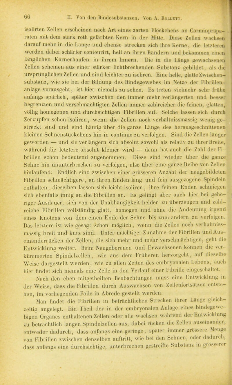 isolirten Zollen crsclioinen nacli Art tiines zarlen Flackchens an Carminimiiia- ralen mil deni sUirk rolli j^ofiirblen Kern in der Mille. Dicse Zellen wachsen darauf niciir in die Litnge iind ebenso strecken sich ihre Kerne, die lelzteren werden dai)ei scharfer conlourirl, hell an ihron Hiindcrn und bekommen einen langlichon Kornerhaufen in ilirem Innern. Die in die Liln^e gesvachsenen Zellen sciieinen aus eincr starker liclitbreciienden Substanz gebiidel. als die ursprtlngiiciien Zeilcn und sind leichter zu isoliren. Eine heile, glatteZwischen- subsUinz, Nvie sie bei der Bildung dcs Bindegewebes im Nelze der Fibrillen- anlage vorausgelil, isl hier niemais zu sehen. Es Ireten vielmebr sebr IrUhe anfangs sparlich, spaier zwischen den immer mehr verlangerten und besser begrenzlen und verschmiichliglen Zellen immer zahlreicher die feinen, glatttn, voUig homogenen und durchsichligen Fibrillen auf. Solche lassen sich durch Zerzupfen schon isoliren, wenn die Zellen noch verhaltnissmassig wenig ge- slreckl sind und sind haufig Uber die ganze Lange des herausgeschnillenen kleinen Sehnenstiickchens bin in continue zu verfolgen. Sind die Zellen langer geworden — und sie verlangern sich absolut sowohl als relaliv zu ilirerBreite, vvahrend die lelztere absolut kleiner wird — dann hat auch die Zahl der Fi- brillen schon bedeutend zugenomnien. Diese sind wieder Uber die ganze Sehne hin ununlerbrochen zu verfolgen, also ilber eine ganze Reihe von Zellen hinlaufend. Endlich sind zwischen einer grosseren Anzahl der neugebildelen Fibrillen schmachtigere, an ihren Endeu lang und fein ausgezogcne Spindeln enthalten, dieselben lassen sich leichl isoliren, ihre feinen Endcn schiniegen sich ebenfalls innig an die Fibrillen an. Es gelingt aber auch hier bei geho- riger Ausdauer, sich von der Unabhangigkeit beider zu ilberzeugcn und zahl- reiche Fibrillen vollsliindig glalt, homogen und ohne die Andeutung irgend eines Knolens von dem einen Ends der Sehne bis zuni andern zu verfolgen. Das lelzlere ist wie gesagt schon mbglich, wenn die Zellen noch verhaltniss- massig breil und kurz sind. Unler machtiger Zunahme der Fibrillen und Aus- einanderrUcken der Zellen, die sich mehr und mehr verschnuichligen, gehl die Entwicklung weiter. Beim Neugeborenen und Erwachsenen kennen die vcr- kUmmerlcn SpindelzcUcn, wie aus dem Frilheren hervorgehl, auf dieselbe Weise dargeslellt werden, wie zu alien Zeiten des cmbryonalcn Lebens, auch hier findet sich niemais eine Zelle in den Verlauf einer Fibrille eingeschaltol. Nach den cben milgelheillen Beobachtungen muss eine Entwicklung in der Weise, dass die Fibrillen durch Auswachsen von Zellenforlsaizen entslc- hen, im vorliegenden Fnlle in Abrcde geslelll werden. Man findet die Fibrillen in betrachllichon Slrecken ihrer Lange glcich- zeilig angelegt. Ein Theil der in der endiryonalen Anlage eines bindegcwe- bigen Organes enlhaltenen Zellen oder alle wachsen wUhrend der Entwicklung zu'betrachllich langen Spindelzellen aus, dabei rilcken die Zellen auseinander, entweder dadurchdass anfangs eine geringe, spiiler immer grossere Menge von Fibrillen zwischen denselben auftrilt, wie bei den Sehnen, oder .iadurch, dass anfangs eine durchsichtige, unlerbrochen geslreifte Subslanz in grossercr