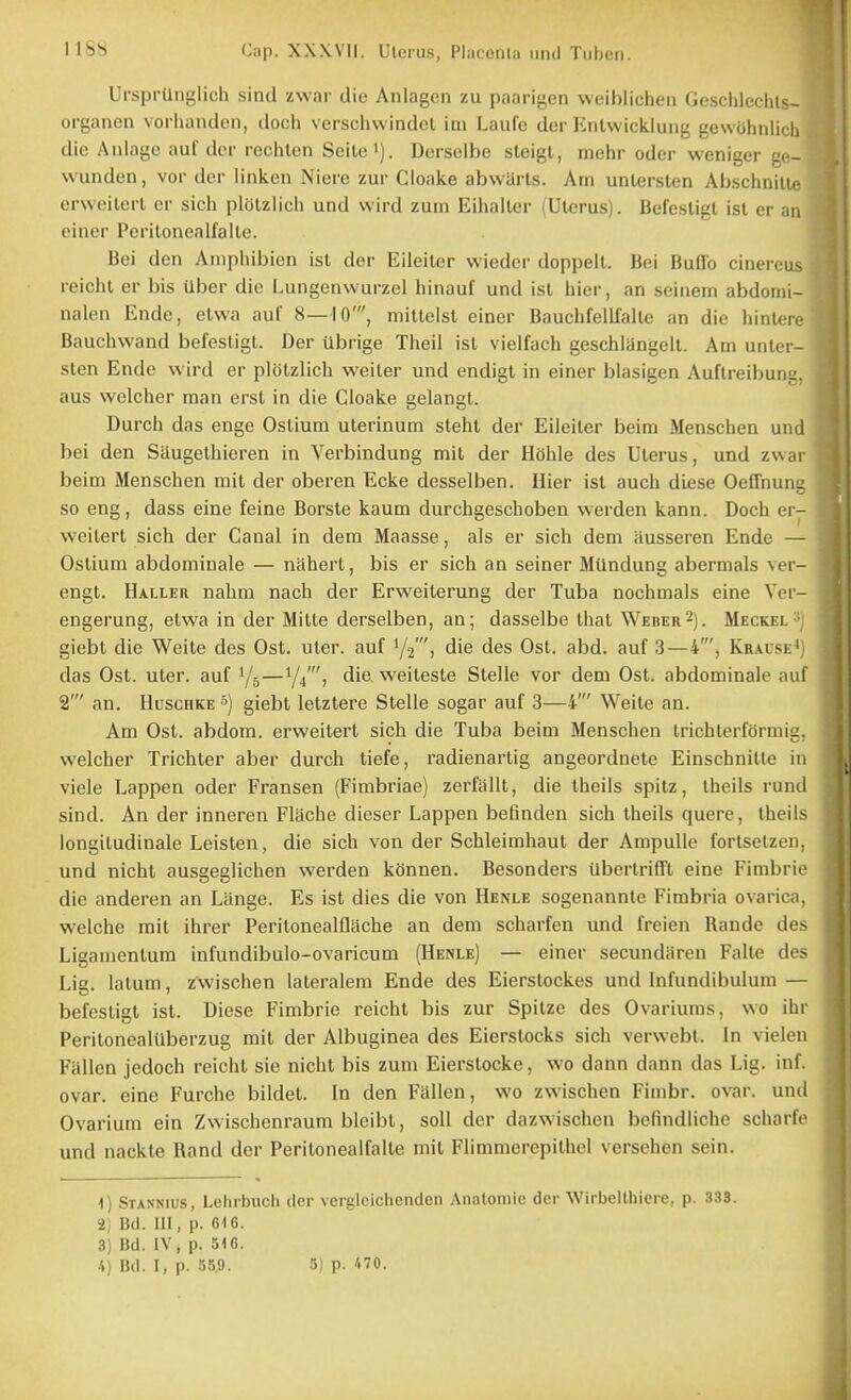 UrsprUnglich sind zwar die Anlagen zu paarigen weiblicheii Geschlechls- organen vorhanden, doch verschwindel im Laufe der Entwickluiig gewohnlicli die Aniage aul'der rechten Soile'). Dcrsclbe sleigl, mehr oder weniger gc- wunden, vor der linken Niere zur Cloake abwUrts. Am untersten Abschnilu- erweilert er sich plOlzlich und wird zum Eihaller (Uterus). Befesligl isl er an einer Perilonealfalle. Bei den Ampliibien ist der Eileiter vvieder doppeil. Bei Buflo ciiiereu- reichl er bis Uber die Lungenwurzel hinauf und isl hier, an seineni abdonil- nalen Ende, elwa auf 8—10', milleist einer Bauchfellfalle an die hinlerc Bauchwand befesligl. Der ubrige Theil isl vieifach geschlangell. Am unter- sten Ende wird er plolzlich weiler und endigl in einer blasigen Auftreibung, aus welcher man erst in die Cloake gelangl. Durch das enge Ostium uterinum steht der Eileiter beim Menschen und bei den Saugethieren in Verbindung mil der Hohle des Uterus, und zwar beim Menschen mil der oberen Ecke desselben. Hier ist auch dLese Oeffnung so eng, dass eine feine Borste kaum durchgeschoben werden kann. Doch er- weilert sich der Canal in dem Maasse, als er sich dem ausseren Ende — Ostium abdominale — nahert, bis er sich an seiner MUndung abermals ver- engt. Haller nahm nach der Erweiterung der Tuba nochmals eine Ver- engerung, elwa in der Milte derselben, an; dasselbe that Weber2). Meckel^) giebt die Weite des Ost. uler. auf 1/2 j die des Ost. abd. auf 3—4', Krause<) das Ost. uler. auf 1/5—Y/, die weilesle Slelle vor dem Ost. abdominale auf 2' an. HuscHKE giebt letzlere Slelle sogar auf 3—4' Weite an. Am Ost. abdom. erweilert sich die Tuba beim Menschen trichterformig, welcher Trichler aber durch tiefe, radienartig angeordnele Einschnitte in viele Lappen oder Fransen (Fimbriae) zerfiillt, die Iheils spitz, theils rund sind. An der inneren Flache dieser Lappen befinden sich Iheils quere, theils longitudinale Leisten, die sich von der Schleinihaut der Ampulle forlsetzen, und nicht ausgeglichen werden konnen. Besonders tlberlrifft eine Fimbrie die anderen an Lange. Es isl dies die von Henle sogenannte Fimbria ovarica, welche mil ihrer Perilonealflache an dem scharfen und freien Rande des Ligamentum infundibulo-ovaricum (Henle) — einer secundiiren Falle des Lig. latum, zwischen lateralem Ende des Eierslockes und Infundibulum — befesligl isl. Diese Fimbrie reichl bis zur Spitze des Ovariums, wo ihr PerilonealUberzug mil der Albuginea des Eierstocks sich verwebt. In vielen Fallen jedoch reichl sie nicht bis zum Eierstocke, wo dann dann das Lig. inf. ovar. eine Furche bildet. In den Fallen, wo zwischen Fimbr. ovar. und Ovarium ein Zwischenraum bleibl, soil der dazwischen bcfindliche scharfe und nackte Rand der Perilonealfalle mil Flimmerepilhel versehen sein. 1) Stannius, Lehrbuch der vergleichenden Anatomic der Wirbelthiere, p. 3.S3. 2) Bd. Ill, p. 616. 3) Bd. IV, p. 516.