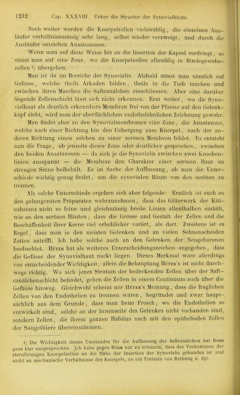 Noch weiter werden die Knorpelzellen vielstrahlig, die einzelnen Aus- laufer verhilllnissmassig sehr lang, selbsl vvieder verzweigt, und durch die AnsUiufer enlslohen Anasloinosen. Wenn mnn auf dio.sc Weise bis an dio In.scrlion der Kapsel vordringt. so ■ stOsst man aiif eine Zone, wo die Knorpel/eiien alirnilhlig in Bindofiewebs- zellen i) tlbergehen. Man ist da im Bereiche der Synovialis. Alsbaid sldssl man namlich aul Gefiisse, weiche Ihcils Arkaden bilden, iheiis in die Tiefe lauclien und zwischen ihren Maschen die Saflcanalchen einschiiessen. Aber eine darUber liegende Zellenschichl lassl sich nichl erkcnnen. Erst weiter, wo die Sntio- vialbaul als deullich erkennbnre Membran frei von der Pfanne auf don Gelenk- kopf zieht, wird man der oberllachlichon endothelahnlichen Zeirhnung gewalir. Man findel aber an den Synovialmembranen eine Zone, die Ansalzzone, weiche nach einer Richlung hin den Uebergang zum Knorpel, nach der an- deren Richtung einen solchen zu einer serosen Membran bildel. Es cntstehi nun die Frage, ob jenseils dieser Zone oder deullicher gesprochen, zwischen den beiden Ansatzzonen — da sich ja die Synovialis zwischen zwei Knochen- linien ausspannt — die Membran den Charakter einer serOsen Haul im strengen Sinne beibehall. Es ist Sache der Auffassung, ob man die Unler- schiede wichlig genug findet, um die synovialen Haute von den serosen zu trennen. Als solche Unterschiede ergeben sich aber folgende: Erstlich ist auch an den gelungensten Praparaten wahrzunebmen, dass das Gittervverk der Kitt- subslanz nicht so feine und gleichmassig breite Linien allenthalben einhall, wie an den serOsen Hauten ; dass die Grosse und Gestall der Zellen und die Beschaffenheit ihrer Kerne viel erheblicher variirt, als dort. Zweil«ns ist es Kegel, dass man in den meisten Gelenken und an vielen Sehnenscheiden Zotten antrifft. Ich habe solche auch an den Gelenken der Neugeliorenen beobachtet. HiixER hat als weiteres Unterscheidungszeichen angegeben , dass die Gefasse der Synovialhaut nackt liegen. Dieses Merkmal ware allerdirigs von entscbeidenderWichtigkeit; allein die Behauptung HCter's ist nicht durch- wegs richtig. Wo sich jenes Stratum der bedeckenden Zellen ilber der Saft- canalchenschicht befindet, gehen die Zellen in einem Continuum auch ilber die Gefasse hinweg. Gleichwohl scheint mir Huter's Meinung, dass die fraglichen Zellen von den Endothelien zu trennen waren, begrUndet und zwar haupl- sachlich aus dem Grunde, dass man beim Frosch, wo die Endothelien so entwickelt sind, solche an der Innenseite des Gelenkes nicht voibanden sind, sondern Zellen, die ihrem ganzen Habitus nach mil den epithelioden Zellen der Saugcthiere Ubereinstimmen. 1) Die Wichtigkeit dieses Umstandes fur die Auffassung der Saaconalcheo liat BiiuH ganz klar ausgesprochen. Ich liabe gegen BfjuM nur zu erinnern, dass das Vorkommcn der sternformigen Knorpelzellen an die Nahc der Insertion der Synovialis gebunden isl und nicht an mechanische Verhaltnisse des Knorpels, an ein Freisein von Rcibung u. dgl.