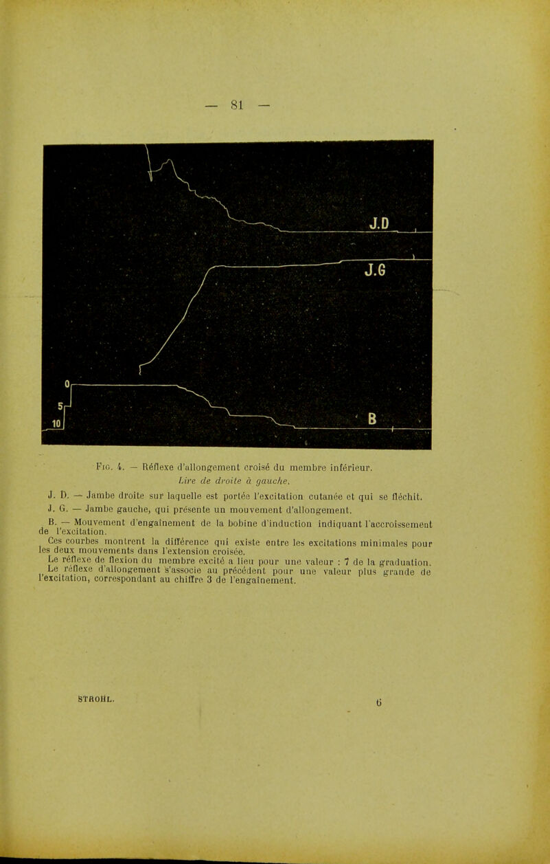 Fig. 4. — Reflexe d'allongement croise du membre inf&rieur. Lire de droile a gauche. J. D. — Jambe droite sur laquelle est portee l'excitation cutanee ct qui se flechit. J. G. — Jambe gauche, qui presente un mouvement d'allongement. B. — Mouvement d'engainement de la bobine d'induction indiquant l'accroissement de l'excitation. Ces courbes montrent la difference qui existe entre les excitations minimales pour les deux mouvements dans l'extension croisee. Le reflexe de flexion du membre excite1 a lieu pour une valour : 7 de la graduation. Le reflexe d'allongement s'associe au precedent pour une valeur plus grande de 1 excitation, correspondant au chiffre 3 de l'engainement. STROltL. (i