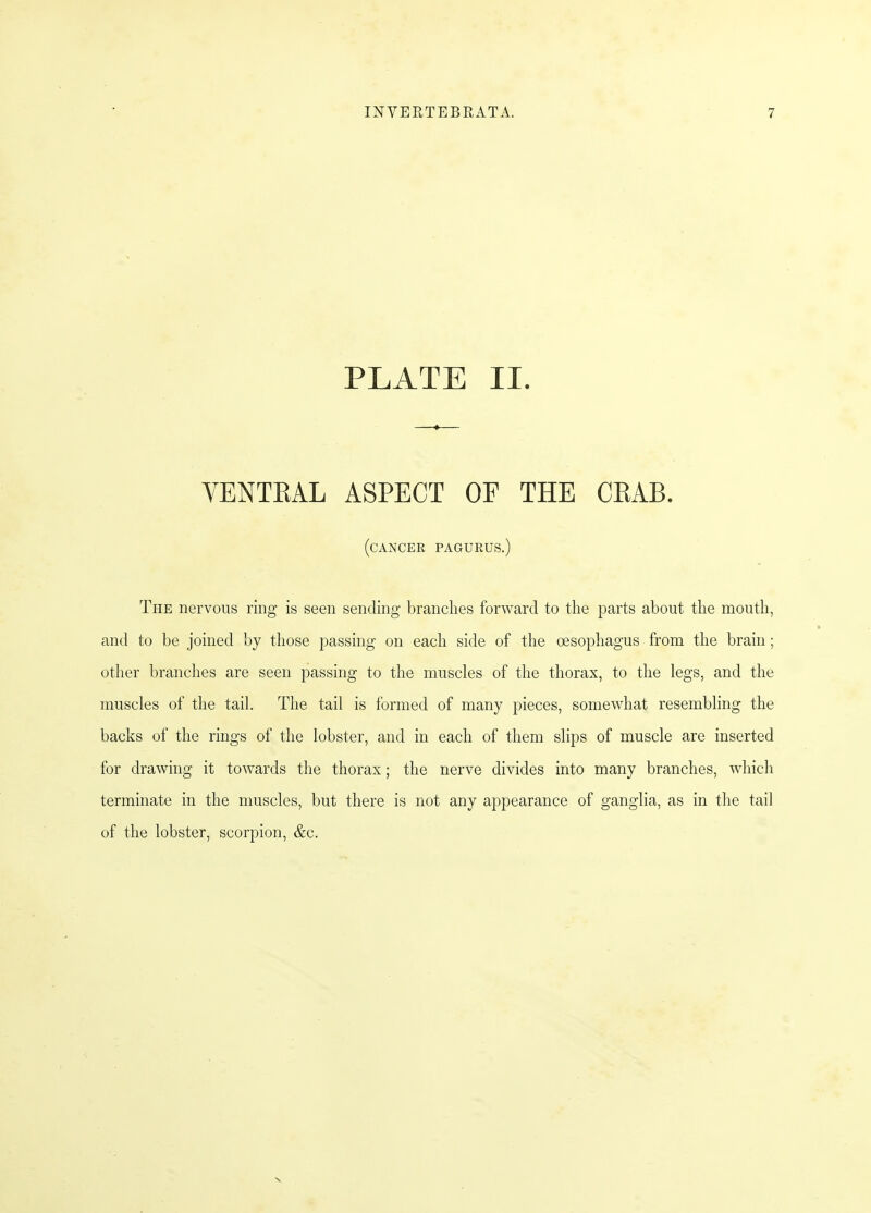 PLATE II. VENTRAL ASPECT OF THE CRAB. (cancer PAGURUS.) The nervous ring is seen sending branches forward to the parts about the mouth, and to be joined by those passing on each side of the oesophagus from the brain; other branches are seen passing to the muscles of the thorax, to the legs, and the muscles of the tail. The tail is formed of many pieces, somewhat resembling the backs of the rings of the lobster, and in each of them slips of muscle are inserted for drawing it towards the thorax; the nerve divides into many branches, which terminate in the muscles, but there is not any appearance of ganglia, as in the tail of the lobster, scorpion, &c.