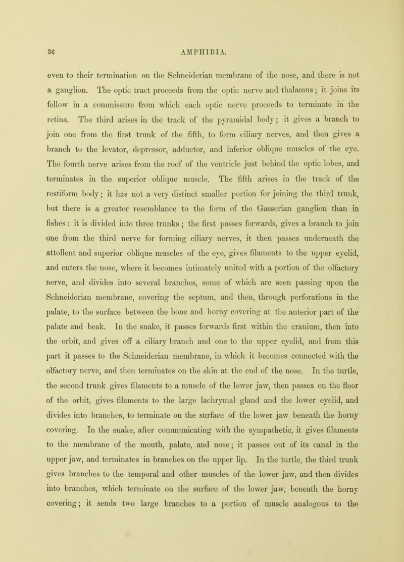 even to their termination on the Schneiclerian membrane of the nose, and there is not a ganglion. The optic tract proceeds from the optic nerve and thalamus; it joins its fellow in a commissure from which each optic nerve proceeds to terminate in the retina. The third arises in the track of the pyramidal body; it gives a branch to join one from the first trunk of the fifth, to form ciliary nerves, and then gives a branch to the levator, depressor, adductor, and inferior oblique muscles of the eye. The fourth nerve arises from the roof of the ventricle just behind the optic lobes, and terminates in the superior oblique muscle. The fifth arises in the track of the restiform body; it has not a very distinct smaller portion for joining the third trunk, but there is a greater resemblance to the form of the Gasserian ganglion than in fishes : it is divided into three trunks ; the first passes forwards, gives a branch to join one from the third nerve for forming ciliary nerves, it then passes underneath the attollent and superior oblique muscles of the eye, gives filaments to the upper eyelid, and enters the nose, where it becomes intimately united with a portion of the olfactory nerve, and divides into several branches, some of which are seen passing upon the Schneiderian membrane, covering the septum, and then, through perforations in the palate, to the surface between the bone and horny covering at the anterior part of the palate and beak. In the snake, it passes forwards first within the cranium, then into the orbit, and gives off a ciliary branch and one to the upper eyelid, and from this part it passes to the Schneiderian membrane, in which it becomes connected with the olfactory nerve, and then terminates on the skin at the end of the nose. In the turtle, the second trunk gives filaments to a muscle of the lower jaw, then passes on the floor of the orbit, gives filaments to the large lachrymal gland and the lower eyelid, and divides into branches, to terminate on the surface of the lower jaw beneath the horny covering. In the snake, after communicating with the sympathetic, it gives filaments to the membrane of the mouth, palate, and nose; it passes out of its canal in the upper jaw, and terminates in branches on the upper lip. In the turtle, the third trunk gives branches to the temporal and other muscles of the lower jaw, and then divides into branches, which terminate on the surface of the lower jaw, beneath the horny covering; it sends two large branches to a portion of muscle analogous to the