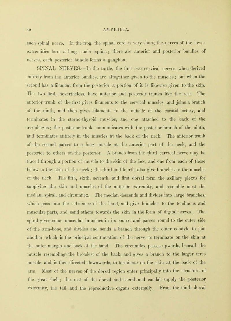 each spinal nerve. In the frog, the spinal cord is very short, the nerves of the lower extremities form a long cauda equina; there are anterior and posterior bundles of nerves, each posterior bundle forms a ganglion. SPINAL NERVES.—In the turtle, the first two cervical nerves, when derived entirely from the anterior bundles, are altogether given to the muscles; but when the second has a filament from the posterior, a portion of it is likewise given to the skin. The two first, nevertheless, have anterior and posterior trunks like the rest. The anterior trunk of the first gives filaments to the cervical muscles, and joins a branch of the ninth, and then gives filaments to the outside of the carotid artery, and terminates in the sterno-thyroid muscles, and one attached to the back of the oesophagus; the posterior trunk communicates with the posterior branch of the ninth, and terminates entirely in the muscles at the back of the neck. The anterior trunk of the second passes to a long muscle at the anterior part of the neck, and the posterior to others on the posterior. A branch from the third cervical nerve may be traced through a portion of muscle to the skin of the face, and one from each of those below to the skin of the neck; the third and fourth also give branches to the muscles of the neck. The fifth, sixth, seventh, and first dorsal form the axillary plexus for supplying the skin and muscles of the anterior extremity, and resemble most the median, spiral, and circumflex. The median descends and divides into large branches, which pass into the substance of the hand, and give branches to the tendinous and muscular parts, and send others towards the skin in the form of digital nerves. The spiral gives some muscular branches in its course, and passes round to the outer side of the arm-bone, and divides and sends a branch through the outer condyle to join another, which is the principal continuation of the nerve, to terminate on the skin at the outer margin and back of the hand. The circumflex passes upwards, beneath the muscle resembling the broadest of the back, and gives a branch to the larger teres muscle, and is then directed downwards, to terminate on the skin at the back of the arm. Most of the nerves of the dorsal region enter principally into the structure of the great shell; the rest of the dorsal and sacral and caudal supply the posterior extremity, the tail, and the reproductive organs externally. From the ninth dorsal