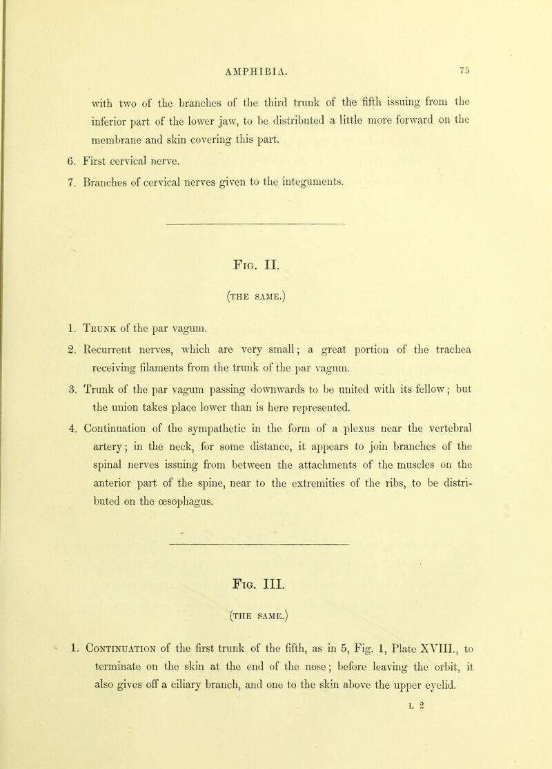 with two of the branches of the third trunk of the fifth issuing from the inferior part of the lower jaw, to be distributed a little more forward on the membrane and skin covering this part. 6. First cervical nerve. 7. Branches of cervical nerves given to the integuments. Fig. II. (the same.) 1. Trunk of the par vagum. 2. Recurrent nerves, which are very small; a great portion of the trachea receiving filaments from the trunk of the par vagum. 3. Trunk of the par vagum passing downwards to be united with its fellow; but the union takes place lower than is here represented. 4. Continuation of the sympathetic in the form of a plexus near the vertebral artery; in the neck, for some distance, it appears to join branches of the spinal nerves issuing from between the attachments of the muscles on the anterior part of the spine, near to the extremities of the ribs, to be distri- buted on the oesophagus. Fig. III. (the same.) 1. Continuation of the first trunk of the fifth, as in 5, Fig. 1, Plate XVIII., to terminate on the skin at the end of the nose; before leaving the orbit, it also gives off a ciliary branch, and one to the skm above the upper eyelid. l 2