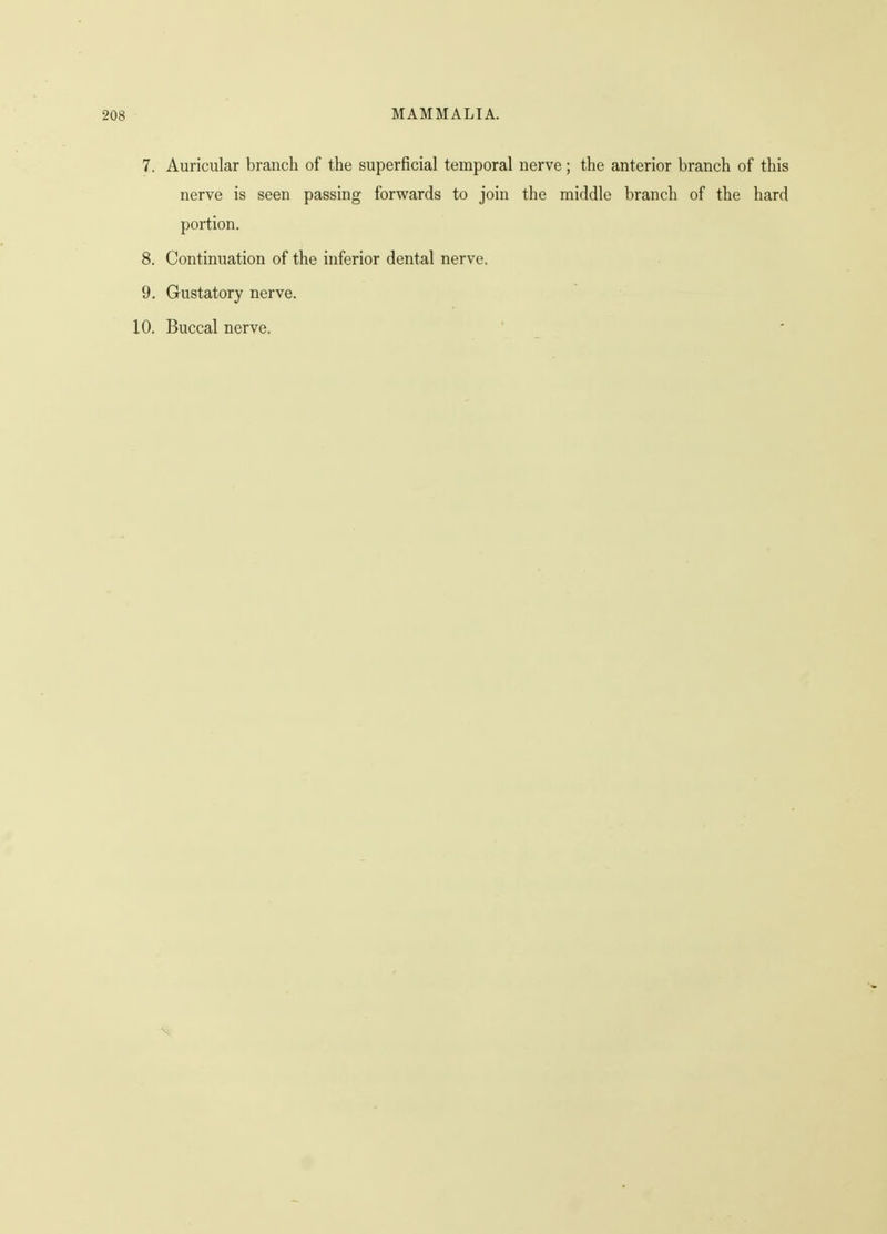 7. Auricular branch of the superficial temporal nerve; the anterior branch of this nerve is seen passing forwards to join the middle branch of the hard portion. 8. Continuation of the inferior dental nerve. 9. Gustatory nerve. 10. Buccal nerve.