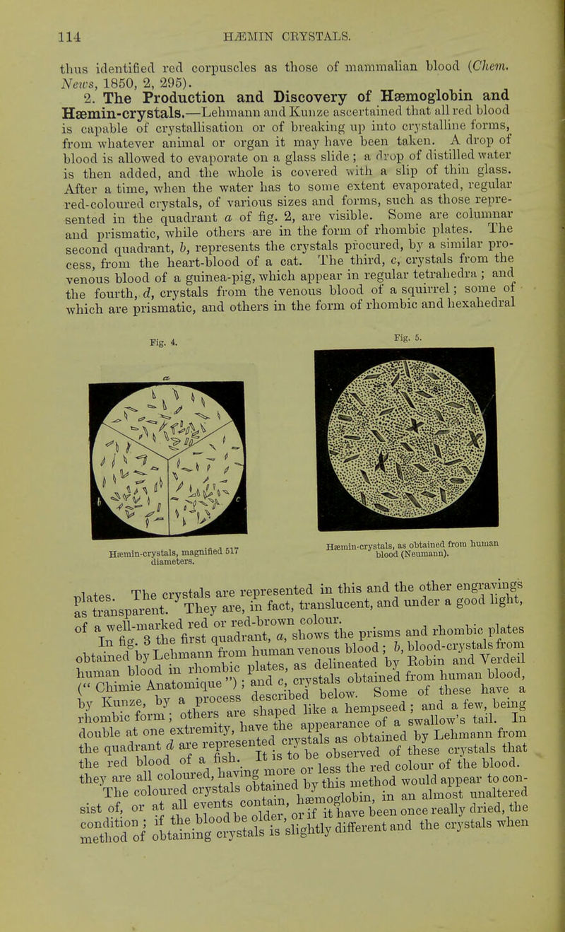 tlu;s identified red corpuscles as those of maminalian blood {Chevi. News, 1850, 2, 295). 2. The Production and Discovery of Haemoglobin and Hsemin-crystals.—Lehmann and Kunze ascertained that all red blood is capable of crystallisation or of breaking up into crystalline forms, from whatever animal or organ it may have been taken. A drop of blood is allowed to evaporate on a glass slide ; a drop of distilled water is then added, and the whole is covered with a slip of thin glass. After a time, when the water has to some extent evaporated, regular red-coloured crystals, of various sizes and forms, such as those repre- sented in the quadrant a of fig. 2, are visible. Some are columnar and prismatic, while others are in the form of rhombic plates. The second quadrant, h, represents the crystals procured, by a similar pro- cess, from the heart-blood of a cat. The third, c, crystals from the venous blood of a guinea-pig, which appear in regular tetrahedra ; and the fourth, d, crystals from the venous blood of a squirrel; some ol which are prismatic, and others in the form of rhombic and hexahedral relates The crystals are represented in this and the other engravings fstansparent. ^They are, in fact, translucent, and under a good hght, ^rtTthffifst ;;a^ and rhombic plates human blood m ^'^.^^^^J^ ^TairoWaW from human blood, rhombic form, o^^^^rs ^'^/J^T^ «T.nearance of a swallow's tail. In double at one extremity, ^^^T^^^^^^, ^.^^^ta^^ by Lehmann from the quadrant a- represent d c yst Is a^^^^^^^^^^^ ^^J^^ the red blood of a fish, it to oe they are all ^oloui-ed, havmg more oU^^^^^^ The coloured crystals obtained b} ^^^s mex 11 .^^ sist of, or at all --^^^^^^^^^