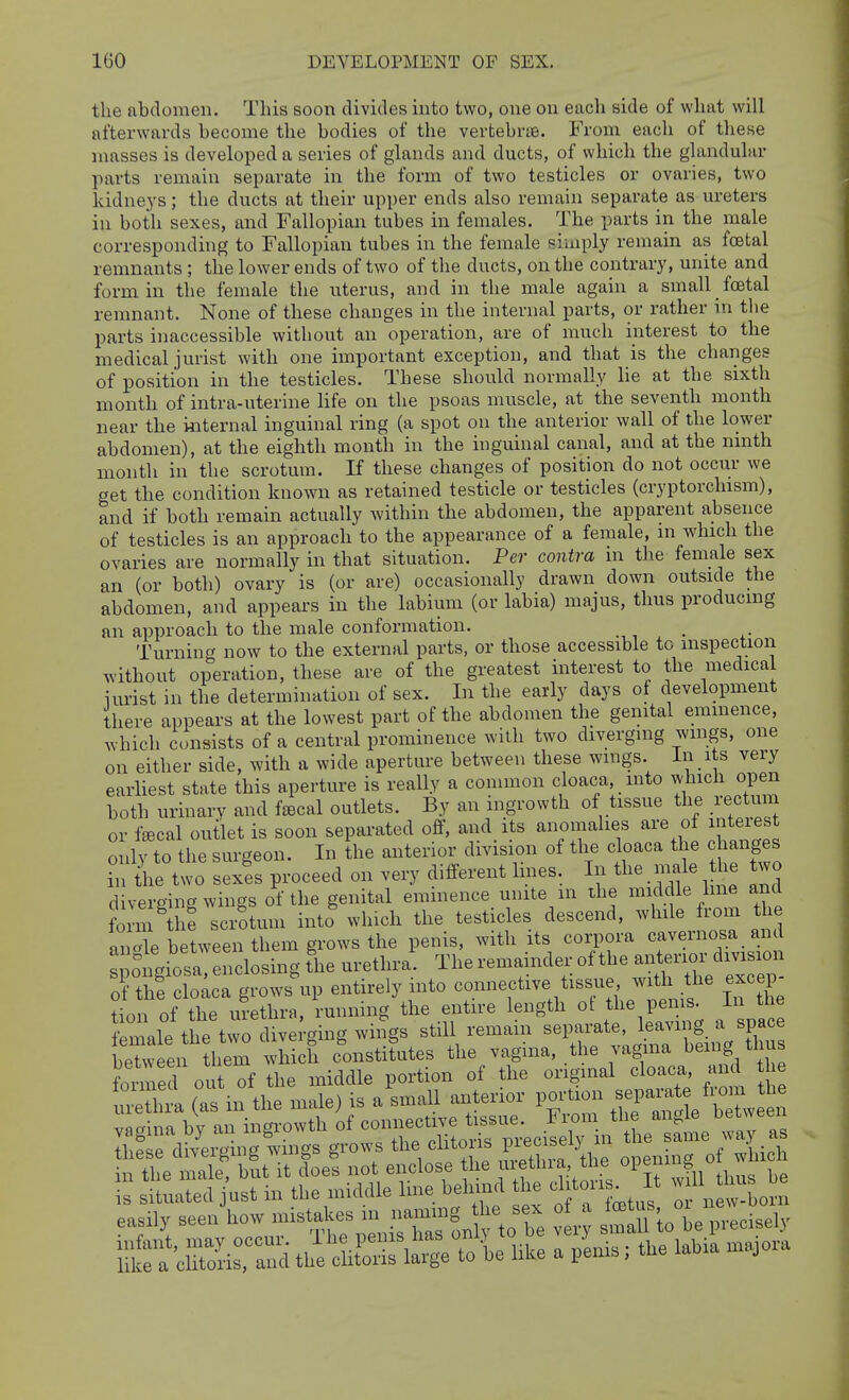IGO DEVELOPMENT OF SEX. the abdomen. This soon divides into two, one on each side of what will afterwards become the bodies of the vertebrie. From each of these masses is developed a series of glands and ducts, of which the glandular parts remain separate in the form of two testicles or ovaries, two kidneys; the ducts at their upper ends also remain separate as ureters in both sexes, and Fallopian tubes in females. The parts in the male corresponding to Fallopian tubes in the female simply remain as foetal remnants ; the lower ends of two of the ducts, on the contrary, unite and form in the female the uterus, and in the male again a small foetal remnant. None of these changes in the internal parts, or rather in the parts inaccessible without an operation, are of much interest to the medical jurist with one important exception, and that is the changes of position in the testicles. These should normally lie at the sixth month of intra-uterine life on the psoas muscle, at the seventh month near the internal inguinal ring (a spot on the anterior wall of the lower abdomen), at the eighth month in the inguinal canal, and at the nmth month in the scrotum. If these changes of position do not occur we get the condition known as retained testicle or testicles (cryptorchism), and if both remain actually within the abdomen, the apparent absence of testicles is an approach to the appearance of a female, ni which the ovaries are normally in that situation. Per contra in the female sex an (or both) ovary is (or are) occasionally drawn down outside the abdomen, and appears in the labium (or labia) majus, thus producing an approach to the male conformation. _ Turning now to the external parts, or those accessible to inspection without operation, these are of the greatest interest to the medical iurist in the determination of sex. In the early days of development there appears at the lowest part of the abdomen the genital eminence, which consists of a central prominence with two divergnig wings, one on either side, with a wide aperture between these wings. In its very earliest state this aperture is really a common cloaca, into which open both urinary and fjBcal outlets. By an ingrowth of tissue the rectum or fEecal outlet is soon separated off, and its anomalies are of interest only to the surgeon. In the anterior division of the cloaca the c anges in the two sexls proceed on very different Imes. In the male he two diverging wings of the genital eminence unite in the middle line and fo m^ h? scrotum into which the testicles descend, while from the anX between them grows the penis, with its corpora cavernosa and oigiosa  fhe urethra. The remaind^; of the ^^^^ of the cloaca grows up entirely into connective tissue with the excep tion of the ui-ethra, running the entire length of the penis, in the We the tr iive -ging wings still remain separate, leaving a space beTvveei thei^ ^ hich Constitutes the vagina, the vagma being thus forced out of the middle portion of the original cloaca and th uiUhra (as in the male) is a small anterior portion -Parat fiom^t^^^ vagina by an ingrowth of ^^^f^^:'^,^^r^e:!:y as these diverging wings grows the clitous P^^^^^^^^ • ^'i^i^h in the male, but it does not enclose the ^^^f 1^^^.'/ f ^^tI fii thus be is situated just in the middle line behind the chtons^ It ^^^1 ^hus be easily -enUv mista^s^^^^^^^^^^^ of^. ^U^io^be i^-Icisely tht to le Uke a penis; the labia majora