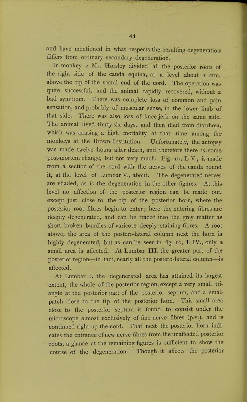 and have mentioned in what respects the resulting degeneration differs from ordinary secondary degeneration. In monkey 2 Mr. Horsley divided all the posterior roots of the right side of the cauda equina, at a level about i ctm. above the tip of the sacral end of the cord. The operation was- quite successful, and the animal rapidly recovered, without a bad symptom. There was complete loss of common and pain sensation, and probably of muscular sense, in the lower limb of that side. There was also loss of knee-jerk on the same side. The animal lived thirty-six days, and then died from diarrhoea, which was causing a high mortality at that time among the monkeys at the Brown Institution. Unfortunately, the autopsy was made twelve hours after death, and therefore there is some post-mortem change, but not very much. Fig. 10, L V, is made from a section of the cord with the nerves of the cauda round it, at the level of Lumbar V., about. The degenerated nerves are shaded, as is the degeneration in the other figures. At this- level no affection of the posterior region can be made out, except just close to the tip of the posterior horn, where the posterior root fibres begin to enter; here the entering fibres are deeply degenerated, and can be traced into the grey matter as short broken bundles of varicose deeply staining fibres. A root above, the area of the postero-lateral column next the horn is highly degenerated, but as can be seen in fig. to, L IV., only a small area is affected. At Lumbar III. the greater part of the posterior region—in fact, nearly all the postero-lateral column—is afllected. At Lumbar I. the degenerated area has attained its largest extent, the whole of the posterior region, except a very small tri- angle at the posterior part of the posterior septum, and a small patch close to the tip of the posterior horn. This small area close to the posterior septum is found to consist under the microscope almost exclusively of fine nerve fibres (p.v.), and is continued right up the cord. That next the posterior horn indi- cates the entrance of new nerve fibres from the unaffected posterior roots, a glance at the remaining figures is sufficient to show the course of the degeneration. Though it affects the posterior