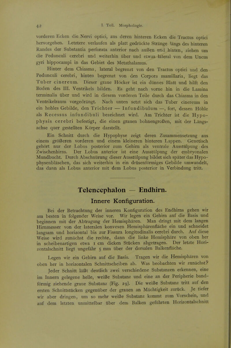 vorderen Ecken die Nervi optici, aus deren hinteren Ecken die Tractus optici hervorgehen. Letztere. verlaufen als platt gedrtickte Strange langfi des hinteren Randes der Substantia perforata anterior nach auOen una hinten, ziehen urn die Pedunculi cerebri und weiterhin uber und elwas lateral von dem Uncus gyri hippocampi in das Gebiet des Metathalamus. Hinter dem Chiasma, lateral begrenzt von den Tractus optici und den Pedunculi cerebri, hinten begrenzt von den Corpora mamillaria, liegt das Tuber cinereum. Dieser graue Hocker ist. ein diinnes Blatt und hilft den Bod en des III. Ventrikels bilden. Es geht nach vorne hin in die Lamina terminalis uber und wird in diesem vorderen Teile durch das Chiasma in den Ventrikelraum vorgedrangt. Nach unten setzt sich das Tuber cinereum in ein hohles Gebilde, den Trichter — Infundibulum —, fort, dessen Hohle als Recessus infundibuli bezeichnet wird. Am Trichter ist die Hypo- physis cerebri befestigt, die einen grauen bohnengroBen, mit der Langs- achse quer gestellten Korper darstellt. Ein Schnitt durch die Hypophyse zeigt deren Zusammensetzung aus einem groBeren vorderen und einem kleineren hinteren Lappen. Genetisch gehort nur der Lobus posterior zum Gehirn als ventrale Ausstiilpung des Zwischenhirns. Der Lobus anterior ist eine Ausstiilpung der embryonalen Mundbucht. Durch Abschnurung dieser Ausstiilpung bildet sich spater das Hypo- physenblaschen, das sich weiterhin in ein driisenformiges Gebilde umwandelt, das dann als Lobus anterior mit dem Lobus posterior in Verbindung tritt. Telencephalon — Endhirn. Innere Konfiguration. Bel der Betrachtung der inneren Konfiguration des Endhirns gehen wir am besten in folgender Weise vor. Wir legen ein Gehirn auf die Basis und beginnen mit der Abtragung der Hemispharen. Man dringt mit dem langen Hirnmesser von der lateralen konvexen Hemispharenflache ein und schneidet langsam und horizontal bis zur Fissura longitudinalis cerebri durch. Auf diese Weise wird zunachst die rechte, dann die linke Hemisphare von oben her in scheibenartigen etwa i cm dicken StUcken abgetragen. Der letzte Hori- zontalschnitt liegt ungefahr 5 mm iiber der dorsalen Balkenflache. Legen wir ein Gehirn auf die Basis. Tragen wir die Hemispharen von oben her in horizontalen Schnittscheiben ab. Was beobachten wir zunachst? Jeder Schnitt lafit deudich zwei verschiedene Substanzen erkennen, eine im Innern gelegene helle, weifie Substanz und eine an der Peripherie band- formig ziehende graue Substanz (Fig. 29). Die weifie Substanz tritt auf den ersten Schnittstiicken gegeniiber der grauen an Miichtigkeit zurUck. Je tiefer wir aber dringen, um so mehr weiOe Substanz kommt zum Vorschein, und auf dem letzten unmittelbar Uber dem Balken gefuhrten Horizontalschnitt