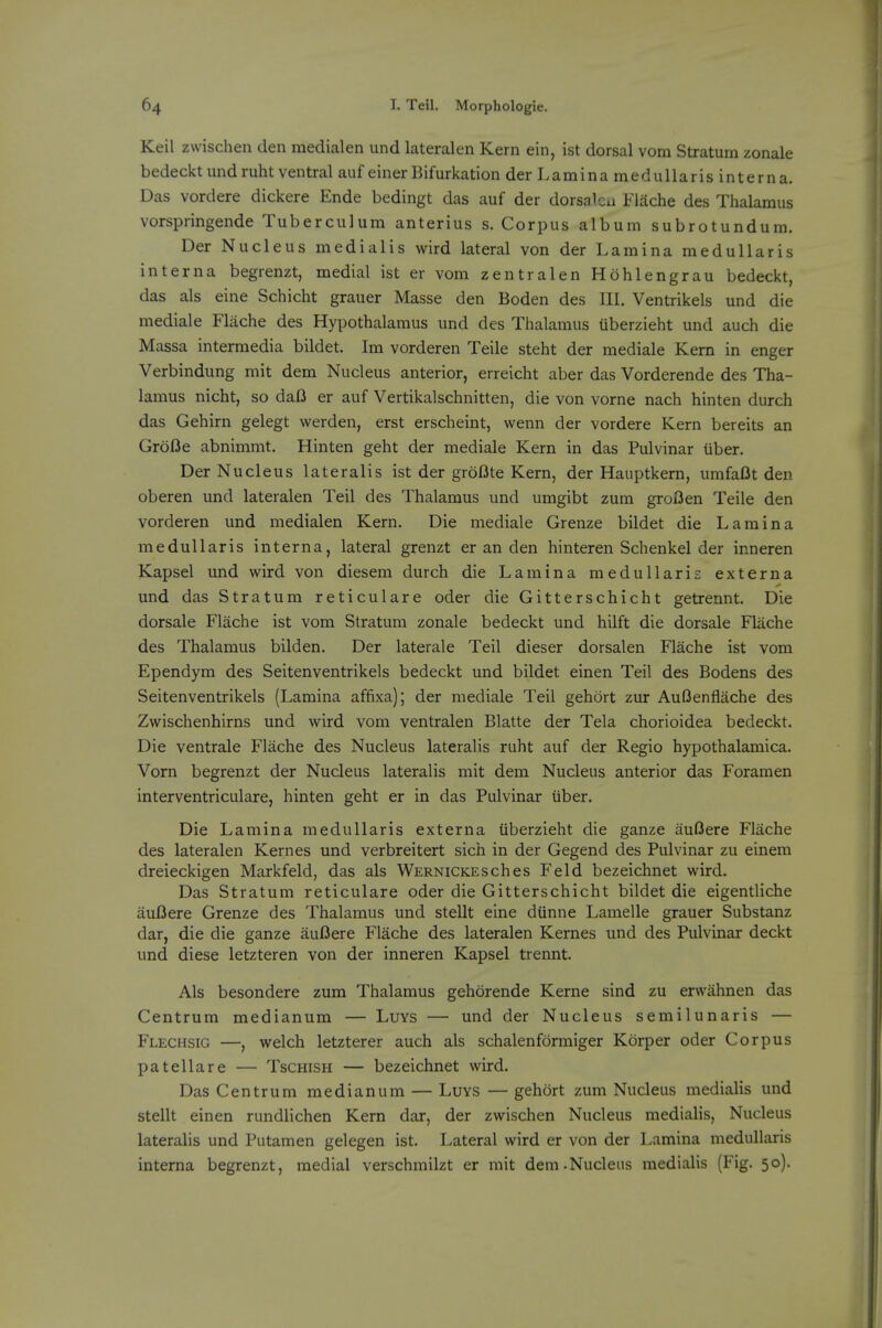 Keil zwischen den medialen und lateralen Kern ein, ist dorsal vom Stratum zonale bedecktundruht ventral auf einerBifurkation der Lamina medullaris interna. Das vordere dickere Ende bedingt das auf der dorsalcn Flache des Thalamus vorspringende Tuberculum anterius s. Corpus album subrotundum. Der Nucleus medialis wird lateral von der Lamina medullaris interna begrenzt, medial ist er vom zentralen Hohlengrau bedeckt, das als eine Schicht grauer Masse den Boden des III. Ventrikels und die mediale Flache des Hypothalamus und des Thalamus uberzieht und auch die Massa intermedia bildet. Im vorderen Teile steht der mediale Kern in enger Verbindung mit dem Nucleus anterior, erreicht aber das Vorderende des Tha- lamus nicht, so dafl er auf Vertikalschnitten, die von vorne nach hinten durch das Gehirn gelegt werden, erst erscheint, wenn der vordere Kern bereits an Grofle abnimmt. Hinten geht der mediale Kern in das Pulvinar iiber. Der Nucleus lateralis ist der gr6l3te Kern, der Hauptkern, umfaOt den oberen und lateralen Teil des Thalamus und umgibt zum groflen Teile den vorderen und medialen Kern. Die mediale Grenze bildet die Lamina medullaris interna, lateral grenzt er an den hinteren Schenkel der inneren Kapsel und wird von diesem durch die Lamina medullaris externa und das Stratum reticulare oder die Gitterschicht getrennt. Die dorsale Flache ist vom Stratum zonale bedeckt und hilft die dorsale Flache des Thalamus bilden. Der laterale Teil dieser dorsalen Flache ist vom Ependym des Seitenventrikels bedeckt und bildet einen Teil des Bodens des Seitenventrikels (Lamina affixa); der mediale Teil gehort zur Auf3enflache des Zwischenhirns und wird vom ventralen Blatte der Tela chorioidea bedeckt. Die ventrale Flache des Nucleus lateralis ruht auf der Regio hypothalamica. Vorn begrenzt der Nucleus lateralis mit dem Nucleus anterior das Foramen interventriculare, hinten geht er in das Pulvinar iiber. Die Lamina medullaris externa uberzieht die ganze auOere Flache des lateralen Kernes und verbreitert sich in der Gegend des Pulvinar zu einem dreieckigen Markfeld, das als WERNiCKEsches Feld bezeichnet wird. Das Stratum reticulare oder die Gitterschicht bildet die eigentliche amOere Grenze des Thalamus und stellt eine diinne Lamelle grauer Substanz dar, die die ganze auI3ere Flache des lateralen Kernes und des Pulvinar deckt und diese letzteren von der inneren Kapsel trennt. Als besondere zum Thalamus gehdrende Kerne sind zu erwahnen das Centrum medianura — Luys — und der Nucleus semilunaris — Flechsig —, welch letzterer auch als schalenformiger Korper oder Corpus patellare — Tschish — bezeichnet wird. Das Centrum medianum — Luvs — gehort zum Nucleus medialis und stellt einen rundlichen Kern dar, der zwischen Nucleus medialis, Nucleus lateralis und Putamen gelegen ist. Lateral wird er von der Lamina medullaris interna begrenzt, medial verschmilzt er mit dem.Nucleus medialis (Fig. 50).