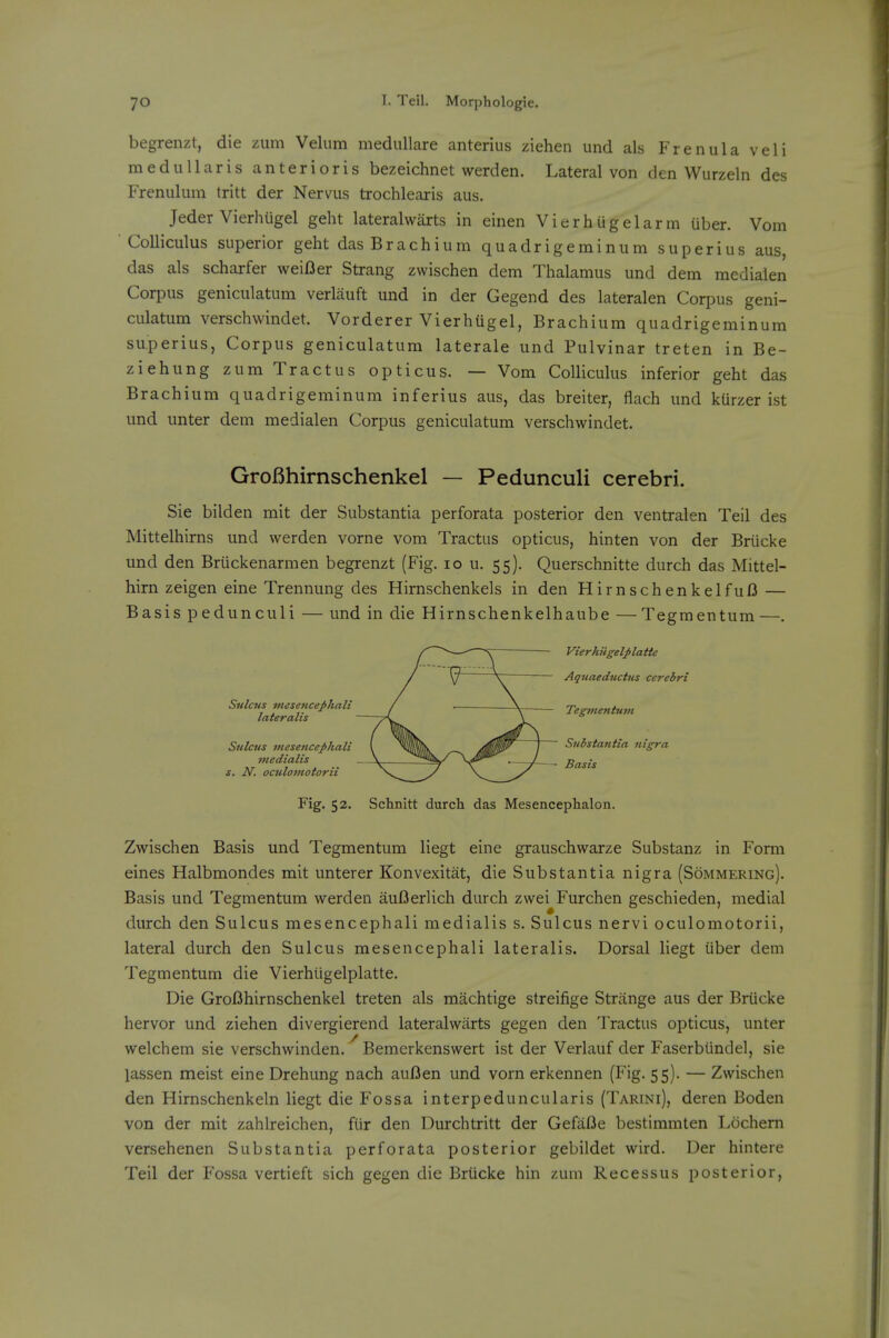 begreiizt, die zum Velum meduUare anterius ziehen und als Frenula veli meduUaris anterioris bezeichnet werden. Lateral von den Wurzeln des Frenulum tritt der Nervus trochlearis aus. Jeder VierhUgel geht lateralwarts in einen Vierhugelarm uber. Vom ' CoUiculus superior geht dasBrachium quadrigeminum superius aus, das als scharfer weifier Strang zwischen dem Thalamus und dem medialen Corpus geniculatum verlauft und in der Gegend des lateralen Corpus geni- culatum verschwindet. Vorderer Vierhugel, Brachium quadrigeminum superius, Corpus geniculatum laterale und Pulvinar treten in Be- ziehung zum Tractus opticus. — Vom Colliculus inferior geht das Brachium quadrigeminum inferius aus, das breiter, flach und kUrzer ist und unter dem medialen Corpus geniculatum verschwindet. GroBhirnschenkel — Pedunculi cerebri. Sie bilden mit der Substantia perforata posterior den ventralen Teil des Mittelhirns und werden vorne vom Tractus opticus, hinten von der Brucke und den Briickenarmen begrenzt (Fig. lo u. 55). Querschnitte durch das Mittel- hirn zeigen eine Trennung des Hirnschenkels in den HirnschenkelfuO — Basis pedunculi — und in die Hirnschenkelhaube —Tegmentum —. —-^r Vierhiigelplatte / ^ Aquaeductus cerebri Sulcus mesencephali / . \ . TegtnenUwi lateralis T'w Sulcus viesenccphali ( ) Substantia nigra niedialis \ ^''iliVy 1^ Basis s. N. oculomotorii \. Fig. 52. Schnitt durch das Mesencephalon. Zwischen Basis und Tegmentum liegt eine grauschwarze Substanz in Form eines Halbmondes mit unterer Konvexitat, die Substantia nigra (Sommering). Basis und Tegmentum werden auBerlich durch zwei Furchen geschieden, medial durch den Sulcus mesencephali medialis s. Sulcus nervi oculomotorii, lateral durch den Sulcus mesencephali lateralis. Dorsal liegt iiber dem Tegmentum die Vierhiigelplatte. Die Groflhirnschenkel treten als machtige streifige Strange aus der Brucke hervor und ziehen divergierend lateralwarts gegen den Tractus opticus, unter welchem sie verschwinden. Bemerkenswert ist der Verlauf der Faserbiindel, sie lassen meist eine Drehung nach auflen und vorn erkennen (Fig. 55). — Zwischen den Hirnschenkeln liegt die Fossa interpeduncularis (Tarini), deren Boden von der mit zahlreichen, fiir den Durchtritt der GefaOe bestimmten Lochem versehenen Substantia perforata posterior gebildet wird. Der hintere Teil der Fossa vertieft sich gegen die Brucke hin zum Recess us posterior,