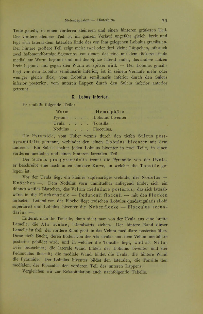 Teile geteilt, in einen vorderen kleineren und einen hinteren grofleren Teil. Der vordere kleinere Teil ist im ganzen Verlauf ungefiihr gleich breit und legt sich lateral dem lateralen Ende des vor ihra gelegenen Lobulus gracilis an. Der hintere groBere Teil zeigt meist zwei oder drei kleine Lappchen, oft auch zwei halbmondformige Segmente, von denen das eine mit dem dickeren Ende medial am Wurm beginnt und mit der Spitze lateral endet, das andere auI3en breit beginnt und gegen den Wurm zu spitzer wird. — Der Lobulus gracilis liegt vor dem Lobulus semilunaris inferior, ist in seinem Verlaufe mehr oder weniger gleich dick, vom Lobulus semilunaris inferior durch den Sulcus inferior posterior, vom unteren Lappen durch den Sulcus inferior anterior getrennt. C. Lobus inferior. Er umfaOt folgende Teile: Wurm Hemisphere Pyramis . . . Lobulus biventer Uvula .... Tonsilla Modulus . . . Flocculus. Die Pyramide, vom Tuber vermis durch den tiefen Sulcus post- pyramidalis getrennt, verbindet den einen Lobulus biventer mit dem anderen. Ein Sulcus spaltet jeden Lobulus biventer in zwei Teile, in einen vorderen medialen und einen hinteren lateralen Teil. Der Sulcus praepyramidalis trennt die Pyramide von der Uvula, er beschreibt eine nach innen konkave Kurve, in welcher die Tonsille ge- legen ist. Vor der Uvula liegt ein kleines zapfenartiges Gebilde, der Nodulus — Knotchen —. Dem Nodulus vorn unmittelbar anliegend findet sich ein diinnes weiBes Blattchen, das Velum medullare posterius, das sich lateral- warts in die Flockenstiele — Pedunculi flocculi — mit den Flocken fortsetzt. Lateral von der Flocke liegt zwischen Lobulus quadrangularis (Lobi superioris) und Lobulus biventer die Nebenflocke — Flocculus secun- darius —. Entfernt man die Tonsille, dann sieht man von der Uvula aus eine breite Lamelle, die Ala uvulae, lateralwarts ziehen. Der hintere Rand dieser Lamelle ist frei, der vordere Rand geht in das Velum medullare posterius Uber. Diese tiefe Bucht, deren Boden von der Ala uvulae und dem Velum medullare posterius gebildet wird, und in welcher die Tonsille liegt, wird als Nidus avis bezeichnet; die laterale Wand bilden der Lobulus biventer und der Pedunculus flocculi; die mediale Wand bildet die Uvula, die hintere Wand die Pyramide. Der Lobulus biventer bildet den lateralen, die Tonsille den medialen, der Flocculus den vorderen Teil des unteren Lappens. Vergleichen wir zur Rekapitulation auch nachfolgende Tabelle.