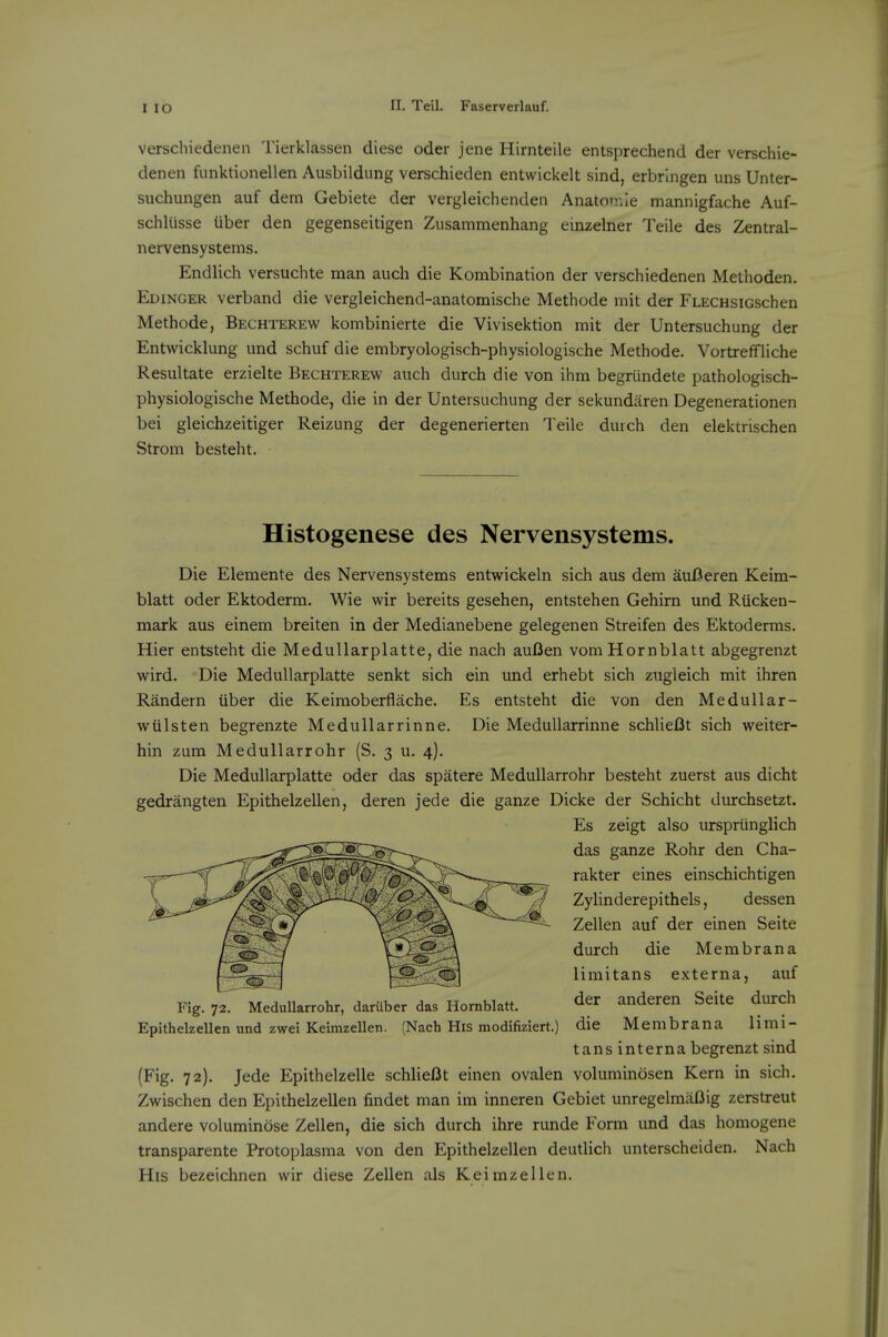 verschiedenen Tierklassen diese oder jene Hirnteile entsprechend der verschie- denen fiinktionellen Ausbildung verschieden entwickelt sind, erbrlngen uns Unter- suchungen auf dem Gebiete der vergleichenden Anatoir.le mannigfache Auf- schliisse iiber den gegenseitigen Zusammenhang einzelner Teile des Zentral- nervensystems. Endlich versuchte man auch die Kombination der verschiedenen Methoden. Edinger verband die vergleichend-anatomische Methode mit der FLECHsiGschen Methode, Bechterew kombinierte die Vivisektion mit der Untersuchung der Entwicklung und schuf die embryologisch-physiologische Methode. Vortreffliche Resiiltate erzielte Bechterew auch durch die von ihm begriindete pathologisch- physiologische Methode, die in der Untersuchung der sekundaren Degenerationen bei gleichzeitiger Reizung der degenerierten Teile durch den elektrischen Strom besteht. Histogenese des Nervensystems. Die Elemente des Nervensystems entwickeln sich aus dem auBeren Keim- blatt oder Ektoderm. Wie wir bereits gesehen, entstehen Gehim und Riicken- mark aus einem breiten in der Medianebene gelegenen Streifen des Ektoderms. Hier entsteht die MeduUarplatte, die nach auBen vomHornblatt abgegrenzt wird. Die MeduUarplatte senkt sich ein und erhebt sich zugleich mit ihren Randern iiber die Keimoberflache. Es entsteht die von den Medullar- wtilsten begrenzte Medullarrinne. Die MeduUarrinne schliefit sich weiter- hin zum Medullarrohr (S. 3 u. 4). Die MeduUarplatte oder das spatere Medullarrohr besteht zuerst aus dicht gedrangten Epithelzellen, deren jede die ganze Dicke der Schicht durchsetzt. Es zeigt also urspriinglich das ganze Rohr den Cha- rakter eines einschichtigen Zylinderepithels, dessen Zellen auf der einen Seite durch die Membrana limitans externa, auf der anderen Seite durch die Membrana limi- tans interna begrenzt sind (Fig. 72). Jede Epithelzelle schliefit einen ovalen voluminosen Kern in sich. Zwischen den Epithelzellen findet man im inneren Gebiet unregelmiiflig zerstreut andere voluminose Zellen, die sich durch ihre runde Form und das homogene transparente Protoplasma von den Epithelzellen deutlicli unterscheiden. Nach His bezeichnen wir diese Zellen als Keimzellen. Fig. 72. Medullarrohr, dariiber das Homblatt. Epithelzellen und zwei Keimzellen. (Nach His modifiziert.)