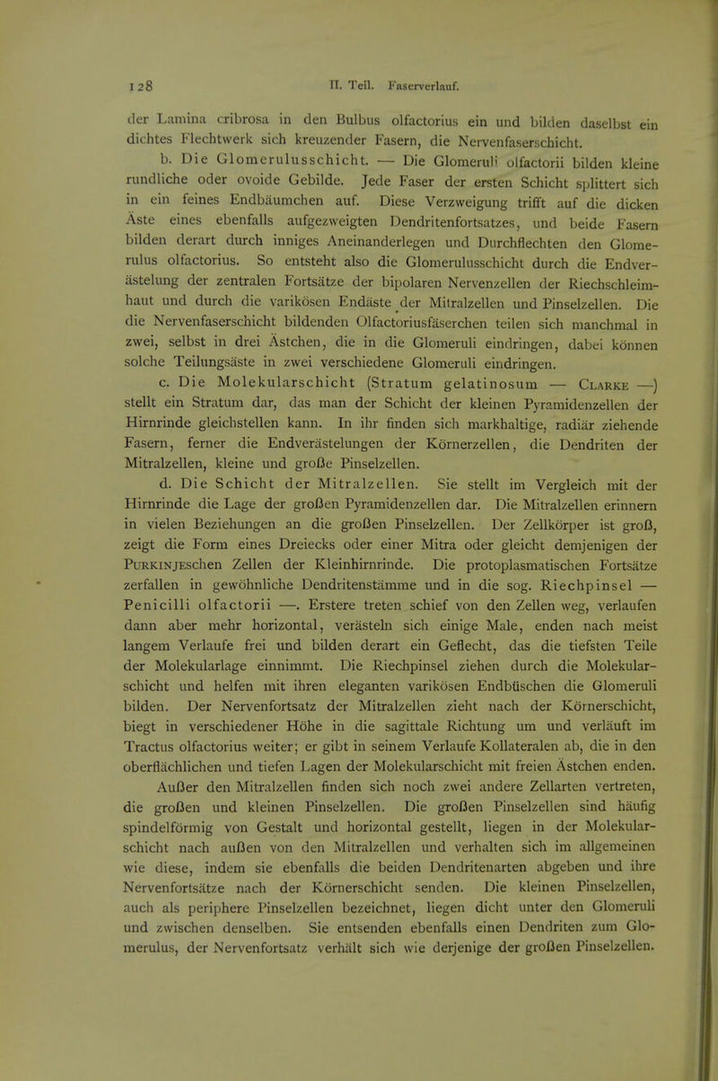 tier Lamina cribrosa in den Bulbus olfactorius ein und bilden daselbst ein dichtes Flechtwerk sich kreuzender Fasern, die Nervenfaserschicht. b. Die Glomerulusschicht. — Die Glomeruli olfactorii bilden kleine rundliche oder ovoide Gebilde. Jede Faser der ersten Schicht splittert sich in ein feines Endbaumchen auf. Diese Verzvveigung trifft auf die dicken Aste eines ebenfalls aufgezweigten Dendritenfortsatzes, und beide Fasern bilden derart durch inniges Aneinanderlegen und Durchflechten den Glome- rulus olfactorius. So entsteht also die Glomerulusschicht durch die Endver- astelung der zentralen Fortsatze der bipolaren Nervenzellen der Riechschleim- haut und durch die varikosen Endiiste der Mitralzellen und Pinselzellen. Die die Nervenfaserschicht bildenden Olfactoriusfaserchen teilen sich manchmal in zwei, selbst in drei Astchen, die in die Glomeruli eindringen, dabei konnen solche Teilungsaste in zwei verschiedene Glomeruli eindringen. c. Die Molekularschicht (Stratum gelatinosum — Clarke —) stellt ein Stratum dar, das man der Schicht der kleinen Pyramidenzellen der Hirnrinde gleichstellen kann. In ihr finden sich markhaltige, radiar ziehende Fasern, ferner die Endverastelungen der Kornerzellen, die Dendriten der Mitralzellen, kleine und groBe Pinselzellen. d. Die Schicht der Mitralzellen. Sie stellt im Vergleich mit der Hirnrinde die Lage der groJOen Pyramidenzellen dar. Die Mitralzellen erinnern in vielen Beziehungen an die groDen Pinselzellen. Der Zellkorper ist groB, zeigt die Form eines Dreiecks oder einer Mitra oder gleicht demjenigen der PuRKiNjEschen Zellen der Kleinhirnrinde. Die protoplasmatischen Fortsatze zerfallen in gewohnliche Dendritenstamme und in die sog. Riechpinsel — Penicilli olfactorii —. Erstere treten schief von den Zellen weg, verlaufen dann aber mehr horizontal, verasteln sich einige Male, enden nach meist langem Verlaufe frei und bilden derart ein Geflecht, das die tiefsten Telle der Molekularlage einnimmt. Die Riechpinsel ziehen durch die Molekular- schicht und helfen mit ihren eleganten varikosen Endbuschen die Glomeruli bilden. Der Nervenfortsatz der Mitralzellen zieht nach der Kornerschicht, biegt in verschiedener Hohe in die sagittale Richtung um und verlauft im Tractus olfactorius weiter; er gibt in seinem Verlaufe Kollateralen ab, die in den oberflachlichen und tiefen Lagen der Molekularschicht mit freien Astchen enden. AuOer den Mitralzellen finden sich noch zwei andere Zellarten vertreten, die groBen und kleinen Pinselzellen. Die groBen Pinselzellen sind haufig spindelformig von Gestalt und horizontal gestellt, liegen in der Molekular- schicht nach auBen von den Mitralzellen und verhalten sich im allgemeinen wie diese, indem sie ebenfalls die beiden Dendritenarten abgeben und ihre Nervenfortsatze nach der Kornerschicht senden. Die kleinen Pinselzellen, auch als periphere Pinselzellen bezeichnet, liegen dicht unter den Glomeruli und zwischen denselben. Sie entsenden ebenfalls einen Dendriten zum Glo- merulus, der Nervenfortsatz verhiilt sich wie derjenige der groBen Pinselzellen.