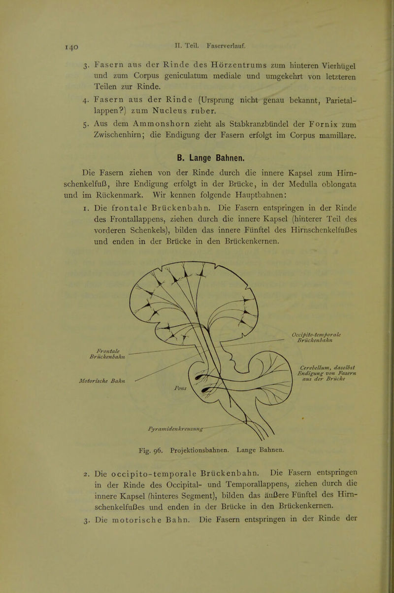 3. Faseni aus der Rinde des Horzentrums zum hinteren Vierhiigel iind zum Corpus geniculatum mediale und umgekchrt von letzteren Teilen zur Rinde. 4. Fasern aus der Rinde (Ursprung nicht genau bekannt, Parietal- lappen?) zum Nucleus ruber. 5. Aus dem Ammonshorn zieht als Stabkranzbiindel der Fornix zum Zwischenhirn; die Endigung der Fasern erfolgt im Corpus mamillare. B. Lange Bahnen. Die Fasern ziehen von der Rinde durch die innere Kapsel zum Hirn- schenkelfufi, ihre Endigung erfolgt in der Briicke, in der Medulla oblongata und im Riickenmark. Wir kennen folgende Hauptbahnen: I. Die frontale Briickenbahn. Die Fasern entspringen in der Rinde des Frontallappens, ziehen durch die innere Kapsel (hinterer Teil des vorderen Schenkels), bilden das innere Fiinftel des HirnschenkelfuOes und enden in der Briicke in den Briickenkernen. Frontale Briickenbahn Moiorische Bahn Fig. 96. Projektionsbahnen. Lange Bahnen. 2. Die occipito-temporale Briickenbahn. Die Fasern entspringen in der Rinde des Occipital- und Temporallappens, ziehen durch die innere Kapsel fhinteres Segment), bilden das aufiere Funftel des Hirn- schenkelfuDes und enden in der Briicke in den Briickenkernen. 3. Die motorische Bahn. Die Fasern entspringen in der Rinde der