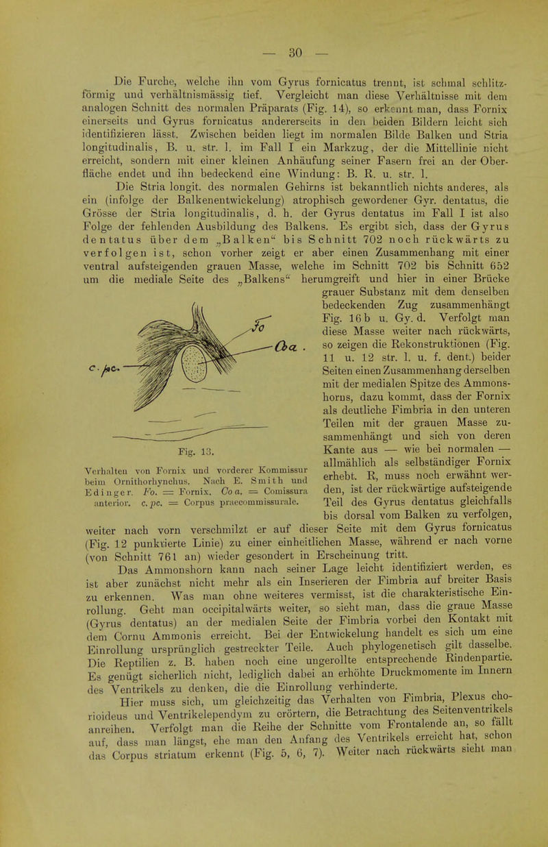 Die Furche, welche ihu vom Gyrus fornicatus trenut, ist schinal schlitz- formig und verhaltnismassig tief. Vergleicht man diese Verhaltuisse mit dem analogen Schnitt des normalen Praparats (Fig. 14), so erkennt man, dass Fornix cinerseits und Gyrus fornicatus andererseits in den beiden Bildern leicht sich identifizieren liisst. Zwischen beiden liegt im normalen Bilde Balken und Stria longitudinalis, B. u. str. 1. im Fall I ein Markzug, der die Mittellinie nicht erreicht, sondern mit einer kleinen Anhaufung seiner Fasern frei an der Ober- Hiiche endet und ihn bedeckend eine Windung: B. R. u. str. 1. Die Stria longit. des normalen Gehirns ist bekanntlich nichts anderes, als ein (infolge der Balkenentwickelung) atrophisch gewordener Gyr. dentatus, die Grosse der Stria longitudinalis, d. h. der Gyrus dentatus im Fall I ist also Folge der fehlenden Ausbildung des Balkens. Es ergibt sich, dass der Gyrus dentatus iiber dem ?JBalken bis Schnitt 702 nock riickwarts zu verfolgen ist, schon vorher zeigt er aber einen Zusammenhang mit einer ventral aufsteigenden grauen Masse, welche im Schnitt 702 bis Schnitt 652 um die mediale Seite des ;;Balkens herumgreift und hier in einer Briicke grauer Substanz mit dem denselben bedeckenden Zug zusammenhangt Fig. 16b u. Gy. d. Verfolgt man diese Masse weiter nach riickwarts, so zeigen die Rekonstruktionen (Fig. 11 u. 12 str. 1. u. f. dent.) beider Seiten einen Zusammenhang derselben mit der medialen Spitze des Ammons- horus, dazu kommt, dass der Fornix als deutliche Fimbria in den unteren Teilen mit der grauen Masse zu- sammenhangt und sich von deren Kante aus — wie bei normalen — allmahlich als selbstandiger Fornix erhebt. R, muss noch erwahnt wer- den, ist der riickwartige aufsteigende Teil des Gyrus dentatus gleichfalls bis dorsal vom Balken zu verfolgen, weiter nach vorn verschmilzt er auf dieser Seite mit dem Gyrus fornicatus (Fig. 12 punkiierte Linie) zu einer einheitlichen Masse, wahrend er nach vorne (von Schnitt 761 an) wieder gesondert in Erscheinung tritt. Das Ammonshorn kann nach seiner Lage leicht identifiziert werden, es ist aber zuniichst nicht mehr als ein Inserieren der Fimbria auf breiter Basis erkennen. Was man obne weiteres vermisst, ist die charakteristische Ein- Vcrbalteu von Fornix und vorderer Komniissur beiui Ornithorbynchus. Nach E. Smith und Edinger. Fo. = Fornix. Co a. — Comissura anterior, c. pe. — Corpus praecomniissurale. graue Masse Kontakt mit sich um eine gilt dasselbe. Rindenpartie. zu - rollung. Geht man occipitalwarts weiter, so sieht man, dass die (Gyrus dentatus) an der medialen Seite der Fimbria vorbei den dem Cornu Ammonis erreicht. Bei der Entwickelung handelt es Kinrollung ursprunglich gestreckter Teile. Auch phylogenetisch Die Reptilien z. B. haben noch eine ungerollte entsprechende Es geniigt sicherlich nicht, lediglich dabei an erhohte Druckmomente im Innern des Ventrikels zu denken, die die Einrollung verhinderte. Hier muss sich, um gleichzeitig das Verhalten von Fimbria, Plexus cno- rioideus und Ventrikelependym zu orortern, die Betrachtung des Seitenventr.ke s anreihen. Verfolgt man die Reihe der Schnitte vom Frontalende an, so tallt auf, dass man liingst, ehe man den Anfang des Ventrikels erreicht hat, schon das Corpus striatum erkennt (Fig. 5, 6, 7). Weiter nach riickwarts s.eht man