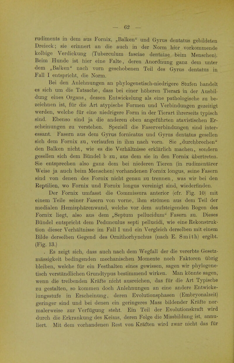 rudiments in dern aus Fornix, „Balken und Gyrus dentatus gebildeten Dreieck; sie erinnert an die auch in der Norm hior vorkommende kolbige Verdickung (Tuberculum fasciae dentatae beim Menschen). Beim Hunde ist hier eine Falte, dereu Anordnung ganz dem unter dem „Balken nach vorn gescbobenen Teil des Gyrus dentatus in Fall I entspricbt, die Norm. Bei den Anlebnungen an pbylogenetisch-niedrigere Stufen bandelt es sich urn die Tatsacbe, dass bei einer boheren Tierari in der Ausbil- dung eines Organs, dessen Entwickelung als eine patbologische zu be- zeichnen ist, fur die Art atypische Formen und Verbindungen gezeitigt werden, welche fur eine niedrigere Form in der Tierart ihrerseits typisch siud. Ebenso sind ja die anderen oben angefuhrten atavistischen Er- scheinungen zu versteben. Speziell die Faserverbindungen sind inter- essant. Fasern aus dem Gyrus fornicatus und Gyrus dentatus gesellen sicb dem Fornix zu, verlaufen in ihm nacb vorn. Sie „durchbrecben den Balken nicbt, wie es die Verbaltnisse erklarlicb macben, soudern gesellen sicb dem Biindel b zu, aus dem sie in den Fornix ubertreten. Sie entsprechen also ganz dem bei niederen Tieren (in rudimentarer Weise ja aucb beim Menscben) vorbandenen Fornix longus, seine Fasern sind von denen des Fornix nicbt genau zu trennen, was wir bei den Reptilien, wo Fornix und Fornix longus vereinigt sind, wiederfinden. Der Fornix umfasst die Cornmissura anterior (cfr. Fig. 10) mit einem Teile seiner Fasern von vorne, ihm stromen aus dem Teil der medialen Hemispbarenwand, welcbe vor dem aufsteigenden Bogen des Fornix liegt, also aus dem ^Septum pellucidum'' Fasern zu. Dieses Biindel entspricbt dem Pedunculus septi pellucidi, wie eine Rekonstruk- tion dieser Verhaltnisse im Fall I und ein Vergleich derselben mit einem Bilde derselben Gegend des Ornitborbynchus (nacb E. Smitb) ergibt. (Fig. 13.) . Es zeigt sicb, dass aucb nacb dem Wegfall der die vererbte Gesetz- massigkeit bedingenden mecbanischen Momente nocb Faktoren iibrig bleiben, welche fur ein Festhalten eines gewissen, sagen wir phylogene- tisch verstandlichen Grundtypus bestimmend wirken. Man konnte sagen, wenn die treibenden Krafte nicht ausreichen, das fur die Art Typische zu gestalten, so kommen doch Anlehnungen an eine andere Entwicke- lungsstufe in Erscheinung, deren Evolutionsphasen (Embryonalzeit) geringer sind und bei denen ein geringeres Mass bildender Krafte nor- malerweise zur Verfugung steht. Ein Teil der Evolutionskraft wird durch die Erkrankung des Keims, deren Folge die Missbildung ist, annu- liert. Mit dem vorhandenen Rest von Kraften wird zwar nicht das fiir