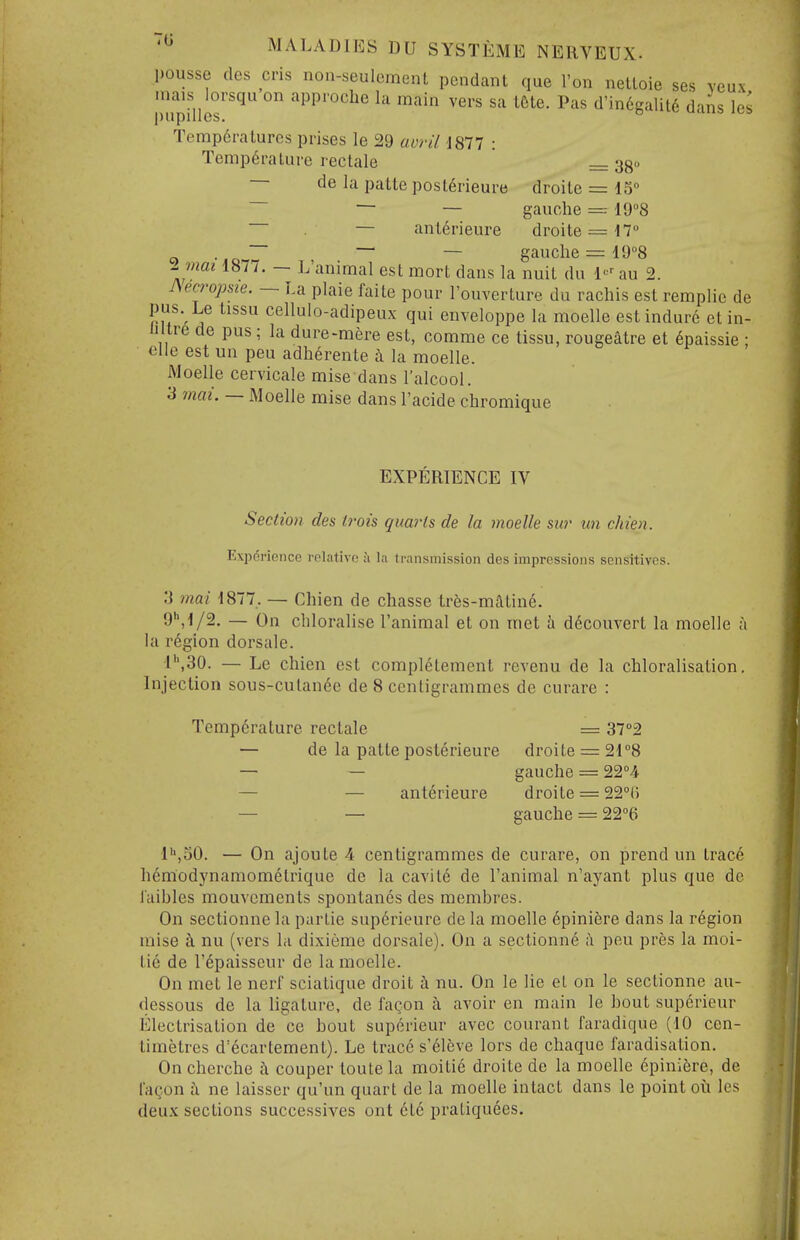 pousse des cris non-seulement pendant que Ton nettoie ses veux I'uipnies'''^'' approche la main vers sa t6te. Pas d'in6galit6 dans les Temp6ratures prises le 29 twril mi : Temperature rectale = 330 — de la patte posl6rieure droite = IS — — gauche = IQ^S — anterieure droite = 17° ~ — — gauche = lO'-S imai 1877. — L'animal est mort dans la nuit du l'^^' au 2. JSecropsie. — La plaie faite pour I'ouverture du rachis est remplic de pus Le tissu cellulo-adipeux qui enveloppe la moelle estindure ct in- liltr6 de pus: la dure-mere est, comme ce tissu, rougeatre et (^paissie ; clle est un pen adherente i\ la moelle. Moelle cervicale mise dans I'alcool. 3 mai. — Moelle mise dans I'acide chromique EXPERIENCE IV Section des trois quarts de la moelle sur un chien. Experience relative a la transmission des impressions sensitives. 3 mai 1877. — Chien de chasse trfes-matine. 9'',i/2. — On chloralise l'animal et on met h d^couvert la moelle a hi r6gion dorsale. l'',30. — Le chien est completement revenu de la chloralisation. Injection sous-cutan6e de 8 centigrammes de curare : Tenip6rature rectale = 37°2 — de la patte posterieure droite = 21°8 — — gauche = 22°4 — — anterieure droite = 22°() — — gauche = 22''6 I'ljSO. — On ajoute 4 centigrammes de curare, on prend un trace hemodynamomelrique de la cavite de l'animal n'ayant plus que de J'aihles mouvcments spontanes des membres. On sectionne la partie superieure de la moelle 6piniere dans la region mise k nu (vers la dixieme dorsale). On a sectionne ;\ peu pres la moi- tic de I'^paisscur de la moelle. On met le nerf sciatique droit i nu. On le lie et on le sectionne au- (lessous de la ligature, de fagon ^ avoir en main le bout sup6rieur Electrisation de ce bout supcrieur avec courant faradique (10 cen- timetres d'^cartement). Le tracd s'61cve lors de chaque faradisation. On cherche i couper toute la moitie droite de la moelle epini5re, de lagon i ne laisser qu'un quart de la moelle intact dans le point oil les deux sections successives ont 6te praLiquees.