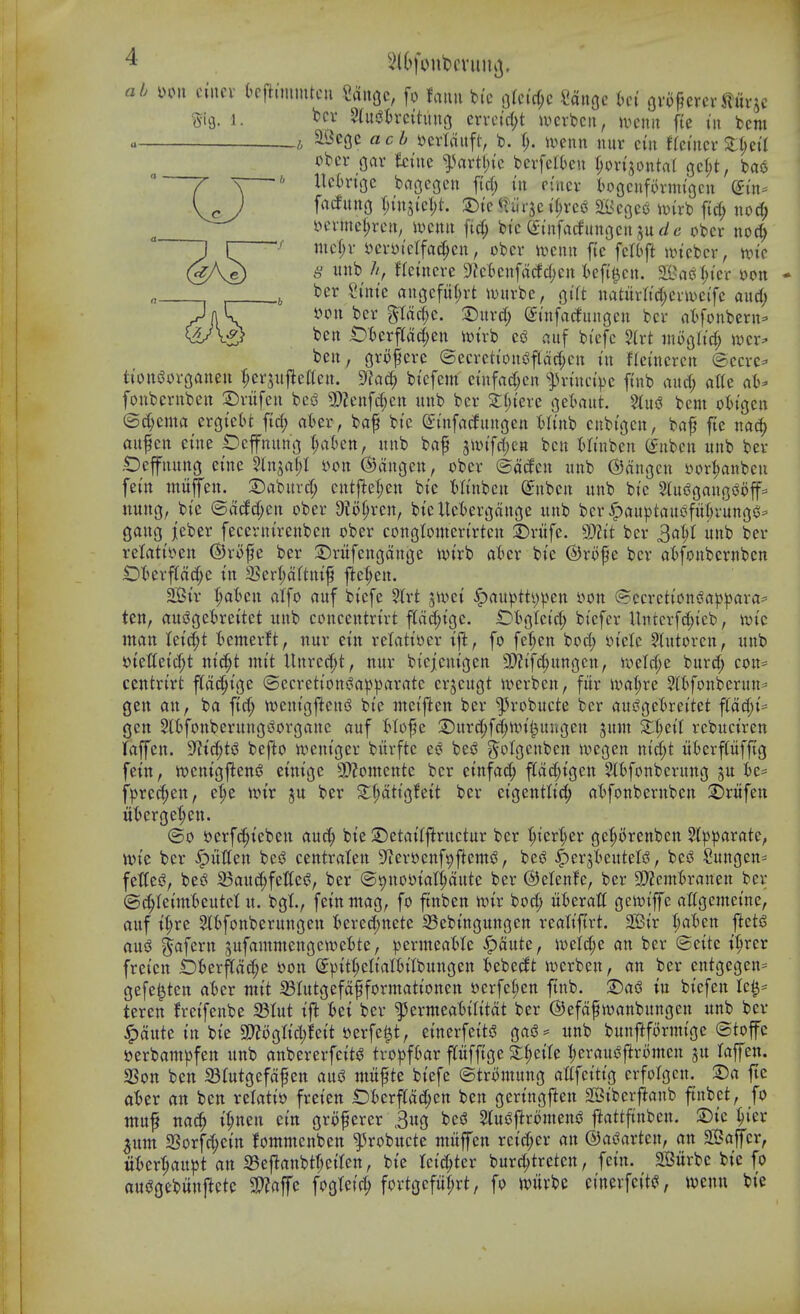 ab i)oii ciuev kftimmtcii Sanoc, fo fami bi'c pan'rf;c Saugc 6ci ovo^ercvSluvjc Sig. 1. 'Pcv 5(iti^Brcttimg ervctrf;t ivcrbcn, UH'nit fte in bcm a _i aBegc aci Dcrtditft, b. ivenn luiv cm UmmZijiii Pbcr gar Eciue ^^artl;i'c bevfciku r;on>ntaf gcl;t, bao UcOngc bngegcn f(d; in Pi'ner i)oocufi)rm{gcii (£m=^ facJung f;iujicl;t. a)te ^liirjc t^rcs^ 2i^cgco ivirb fid; nod; ^ i.Hn'mcl;rcn; ivcnu ftd; btc Cftnfarfunocn ju ^/c obcr not^ mcf;r i^ci-yiclfac^cn, obcr ivcnn ftc fclbft uncbcr, un'c ^ nnb //, Heincre 9fc6cn[acfd;cn kfi^cn. 2Bac|)ter \)on ber Stttte angcfn(;rt witrbc, gift natuva'd;cr>vc(fe aud; s?on ber ^tad;e. ©urd; Sutfacfungcn bcr al^fonbern^ ben .Ot)erpd;en it)trb ci3 nuf bi'efc %xi inogh'd; wcr^ ben, grofere @ecrctioni?flad;cn in freincrcn ©ccrc^ tionsJorganen ^^erjuj^effett. 9?ac^ bi'cfem einfad;cn ^J3rinci>c fi'nb and; alte at^- fonbernbcn 2)rufen bcsS 9)Zenfd;cn unb ber 2;(;ieve oet'aut. %x\^ bcm ot)tgen ©d)ema croteH fid; nter, baf bi'c (^infatfungen l^h'nb cubtgcn, baf fte na^ aitfcn cine Dcffnnng ijahm, nnb baf 5n)tfd)en ben t'linben (fnbcn nnb ber .Oejfnnng cine ?tnjaf;I yon (Sjangen, obcr ©dtfcn nnb ©dngcn i>ort)anbcn fettt mnjfen. :Dabnrd; entfle(;en bte itinbcn (Jnbcn nnb bi'c 5lui^<5anQi3oflF== wmxcs, bie @dcJd;cn obcr Dio^ren, bteUct^ergdnc^e nnb ber^an|)tans^ful)i'nngs^ gang jeber feeerntrenbcn ober conglonterirten 2)rnfe. 9)?it bcr 3a^I nnb ber retati^en (SJrojje ber ^Drufenjjdnjje tvirb at>er bte @ro^c ber aI)fonbernben iDterf(dd;e in 2Serf;drtttif ftc^^en. 2Bir :^aten atfo auf bi'cfe %xt jwet ^(tnptti)|Jen s?on @ccrcti'oneap|>ara=' ten, an^gctreitct nnb concentrirt fCdc^igc. ^tgtei'd; bi'efcr Untcrfc^icb, iDi'c man Ketd;t fcemerft, nur ein relatiocr ift, fo fe^cn bod; i.n'clc ?tntoren, nnb s?tettetd;t nic^t mtt Unrcd;t, nur bi'ejicmgcn 3[)?i'fc^nngen, roeId;e burd; con= centrtrt ffdc^i'ge ©ccrcti'on^a^jprtratc erjcngt iverben, fur lx>rt(;rc ?ltfonbernn^ gen an, ba fic^ wenigftens? bi'c ntci'ften ber '^robncte ber ans^gctrcitet f(dc^i'= gen 5lt>fonbernng^organc auf I^Io^e :Dnrc^fd;u>ii^nugcn sum 2:^ei'I rebnctren lapn. ??i'd;ti3 beflo n>cni'ger biirfte be^ ^olgcnben ivcgen ni'd;t u6erf(uffig fetn, n)cnigflen(? cinigc a)?omcnte bcr etnfad; fld($i'gen 5ltfonbcrung ju ie= f))rcd;en, etje 'mix ju ber ^fidttgfeit ber eigentti(^ a'Ofonbernben 2)rufen uterget;cn. (go t)erfd;teben auc^ bie ©etai'lftructur ber t;icrt;er ge^orenbcn 5l)3|5aratc, xoit bcr ^uUen bcs$ centralen 9?eri)enf9ftem^, bes^ ^^erji^euteli^, bee! Snngcn= fetlei?, beiS 23and;fetCei?, ber ©^noyial^dute ber ©ctcnfc, bcr 3)Zem^ranen ber ©(J^Ieimbeutet n. bgt., fei'nmag, fo ftnben wix bod; ntcrati oen^iffe aflgemcine, auf i(;re ^bfonbcrungen i)ered;nete Sebingungen realifirt. 2Gi'r (;a^cn ftctg ani$ ^afern snfammengcwc^Ote, ^^crmeaMe ^dnte, i\)c(d;e an ber ©cite i^rer freten £)6erf[dd;e i>on ^})tt|icli'alt)itbnngen t^cbedt Jvcrben, an ber cntgegen= gefet^ten atjcr mit ^Intgefdf formattonen »erfc(;cn ftnb. ©aiS tn btcfen Ic^= teren h-ci'fcnbe 5Btnt ijl :6et ber ^crmeat^ilitdt ber (Befdf wanbungen nnb ber ^dntc in bi'c 3!}?ogttd;fctt Dcrfe^t, eincrfettiS gasS* nnb bunftfornn'ge ©top ocrbampfen nnb anbercrfeitJ? tro|3f6ar pffige St^eife l;eraui^ftromcn ju laffcn. 3Son ben 23{ntgcfdfcn ani3 mufte btcfe ©tromung altfeitig crfolgen. :Da fte a'ber an ben relati» freten iDierpd;cn ben gert'ngften 2Btbcrftanb ftnbet, fo muf nac^ i^nen em grofercr 3ug bc£? SlusJflromen^ fiattftnbcn. S)ic ^ler 3um 2Sorfd;ein lommenben ^robucte mitffen rctd;er an ©as^artcn, an 2Bajfer, ut)crt;aupt an S5eflanbt(;etren, bi'e Ict'c^tcr bur^trcten, fern. SSiirbc bi'c fo auijgebunftctc a??ajfe fogtcic^ fortgcfur;rt, fo ipurbe cinevfet'tci, wenu bi'e