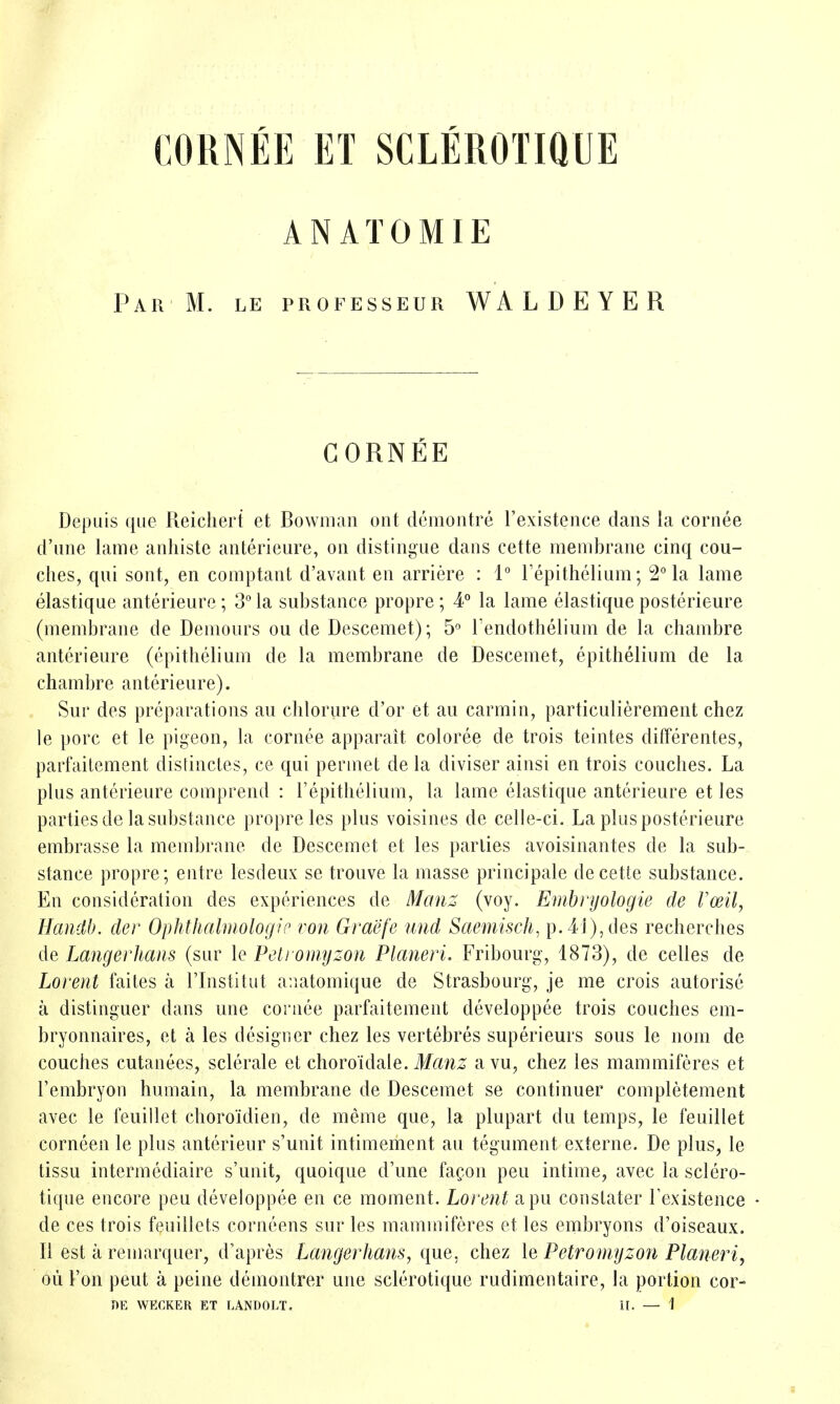 CORNEE ET SCLEROTIQUE AN ATOMIE Par M. le professeur WALDEYER CORNEE Depuis que Reicliert et Bowman ont demontre rexistence dans la cornee d'line lame anhiste anterieure, on distingue dans cette membrane cinq cou- ches, qui sont, en comptant d'avant en arriere : 1° Tepithelium; 2° la lame elastique anterieure ; 3 la substance propre ; 4° la lame elastique posterieure (membrane de Demours ou de Descemet); 5° Tendothelium de la chambre anterieure (epithelium de la membrane de Descemet, epithelium de la chambre anterieure). Sur des preparations au chlorure d'or et au carmin, particulierement chez le pore et le pigeon, la cornee apparait coloree de trois teintes differentes, parfaitement distincles, ce qui permet de la diviser ainsi en trois couches. La plus anterieure comprend : repithelium, la lame elastique anterieure et les parties de la substance propre les plus voisines de celle-ci. La plus posterieure embrasse la membrane de Descemet et les parlies avoisinantes de la sub- stance propre; eutre lesdeux se trouve la masse principale de cette substance. En consideration des experiences de Manz (voy. Embnjologie de Voeil, Handb. der Ophthalmologye von Graefe und Saemisch, p. 41), des recherches de Langerhaiis (sur le Petromyzon Pkmeri. Fribourg, 1873), de celles de Lorent faites a I'lnstitut auatomique de Strasbourg, je me crois autorise a distinguer dans une cornee parfaitement developpee trois couches em- bryonnaires, et a les designer chez les vertebres superieurs sous le nom de couches cutanees, sclerale et choroid ale. Jf^n^ avu, chez les mammiferes et I'embryon humain, la membrane de Descemet se continuer completement avec le feuillet choroidien, de meme que, la plupart du temps, le feuillet corneen le plus anterieur s'unit intimement au tegument externe. De plus, le tissu intermediaire s'unit, quoique d'une fa^on pen intime, avec la sclero- tique encore peu developpee en ce moment. Lorent apu constater Texistence de ces trois feuillets corneens sur les mammiferes et les embryons d'oiseaux. II est a remarquer, d'apres tangerhans, que, chez le Petromyzon Planeri, ou Fon pent a peine deniontrer une sclerotique rudimentaire, la portion cor-