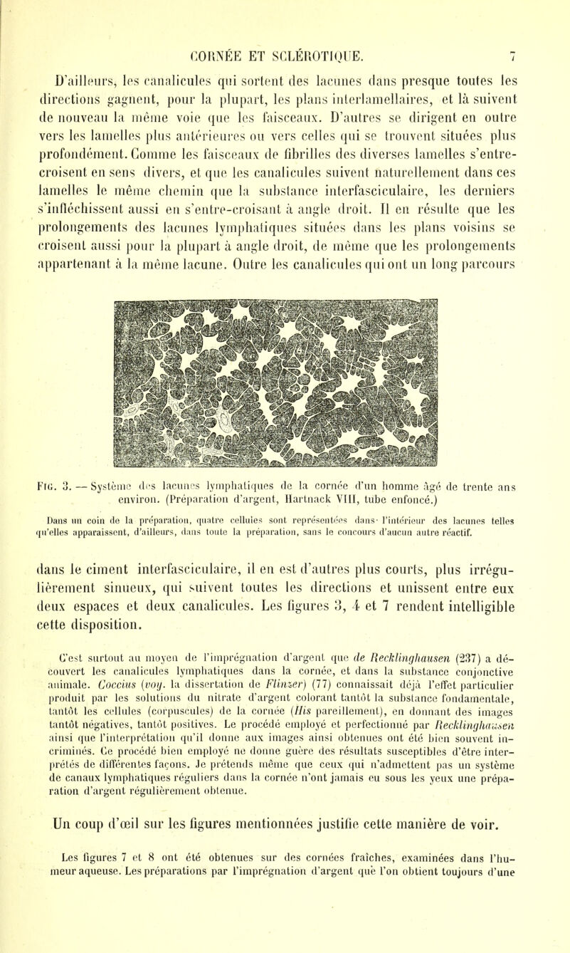D'ailleurs, los canalicules qui sortent des laciiiies dans presque toutes les directions gagnent, pour la plupart, les plans inlerlamellaires, et la suivent de nouveau la nienie voie que les faisceaux. D'autres se dirigent en outre vers les lamelles plus aiilerieures on vers celles qui se tronvent situees plus profondement. Gomme les faisceaux de fibrilles des diverses lamelles s'entre- croisent en sens divers, et que les canalicules suivent naturellement dans ces lamelles le meme cliemin que la substance interfasciculaire, les derniers s'inflechissent aussi en s'entre-croisant a angle droit. II en resulte que les prolongements des lacunes lymphaliques situees dans les plans voisins se croisenL aussi pour la plupart a angle droit, de meme que les prolongements appartenant a la meme lacune. Outre les canalicules qui out un long parcours Fid. 3. — Systcnic di-s lacunes lymphatiques de la cornee d'lm homme age de trente ans environ. (Preparation d'argent, Hartnack VIII, tube enfonce.) Dans im coin de la preparation, qnatre colluies sont representees dans- I'inte'rieur des lacunes telles qu'elles apparaissent, d'aiiieurs, dans loute la preparation, sans le concours d'aucnn autre reactif. dans le ciment interfasciculaire, il en est d'autres plus courts, plus irregu- lierement sinueux, qui suivent toutes les directions et unissent entre eux deux espaces et deux canalicules. Les figures 3, 4 et 7 rendent intelligible cette disposition. C'est surtout au moyea de I'impregnation d'argent que de Recklinghausen (237) a de- couvert les canalicules lymphatiques dans la cornee, et dans la substance conjonctive auimale. Coccius {voij. la dissertation de FUnzer) (77) connaissait dcja reflfet parliculier produit par les solutions du nitrate d'argent colorant tantot la substance fondatnentale, tantot les cellules (corpuscules) de la cornee {His pareillement), en donnant des images tantot negatives, tantot positives. Le precede employe et perfectionne par Recklinghausen ainsi que I'inlerpretation qu'il donne aux images ainsi obtenues out ete bien souvent in- crimines. Ce precede bien employe ne donne guerc des resultats susceptibles d'etre inter- pretes de differentes facons. Je pretends meme que ceux qui n'admcttent pas un systeme de canaux lymphatiques reguliers dans la cornee n'ont jamais eu sous les yeux une prepa- ration d'argent regulierement obtenue. Un coup d'oeil sur les figures mentionnees justifie cette maniere de voir. Les figures 7 et 8 ont ete obtenues sur des cornees fraiches, examinees dans I'hu- meuraqueuse. Les preparations par I'impregnation d'argent que Ton obtient toujours d'une