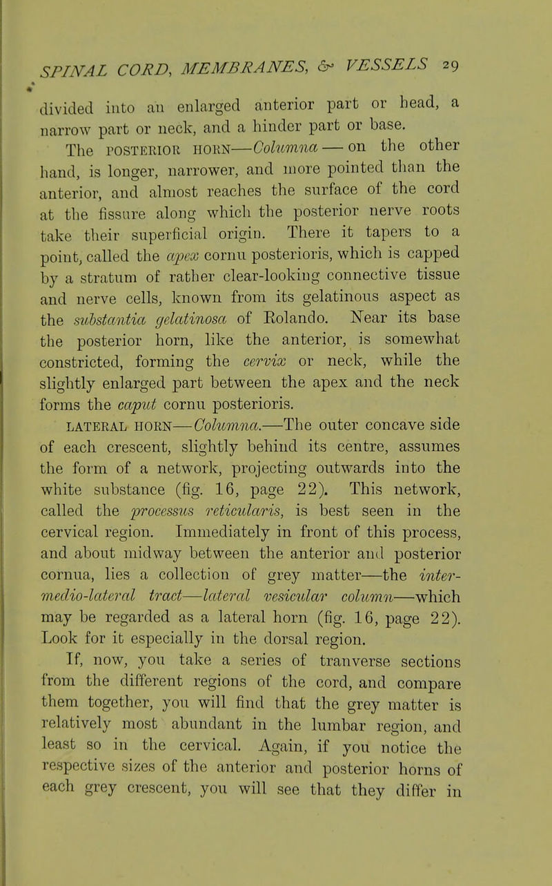 divided into au enlarged anterior part or head, a narrow part or neck, and a hinder part or base. The POSTERIOR HORN—Columiia — on the other hand, is longer, narrower, and more pointed tlian the anterior, and almost reaches the surface of the cord at the fissure along which the posterior nerve roots take their superficial origin. There it tapers to a point, called the apex cornu posterioris, which is capped by a stratum of rather clear-looking connective tissue and nerve cells, known from its gelatinous aspect as the substantia gelatinosa of Eolando. Near its base the posterior horn, like the anterior, is somewhat constricted, forming the cervix or neck, while the slightly enlarged part between the apex and the neck forms the capid cornu posterioris. LATERAL HORN—Columna.—The outer concave side of each crescent, slightly behind its centre, assumes the form of a network, projecting outwards into the white substance (fig. 16, page 22). This network, called the processus reticularis, is best seen in the cervical region. Immediately in front of this process, and about midway between the anterior and posterior cornua, lies a collection of grey matter—the inter- medio-lateral tract—lateral vesicular column—which may be regarded as a lateral horn (fig. 16, page 22). Look for it especially in the dorsal region. If, now, you take a series of tranverse sections from the different regions of the cord, and compare them together, you will find that the grey matter is relatively most abundant in the lumbar region, and least so in the cervical. Again, if you notice the respective sizes of the anterior and posterior horns of each grey crescent, you will see that they differ in