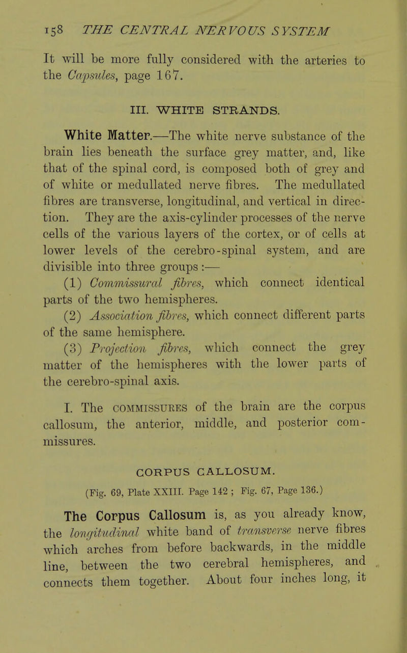 It will be more fully considered with the arteries to the Capsules, page 167. III. WHITE STRANDS. White Matter.—The white nerve substance of the brain lies beneath the surface grey matter, and, like that of the spinal cord, is composed both of grey and of white or medullated nerve fibres. The medullated fibres are transverse, longitudinal, and vertical in direc- tion. They are the axis-cylinder processes of the nerve cells of the various layers of the cortex, or of cells at lower levels of the cerebro-spinal system, and are divisible into three groups :— (1) Commissural fibres, which connect identical parts of the two hemispheres. (2) Association fibres, which connect different parts of the same hemisphere. (3) Projection fibres, which connect the grey matter of the hemispheres with the lower parts of the cerebro-spinal axis. I. The COMMISSUKES of the brain are the corpus callosum, the anterior, middle, and posterior com- missures. CORPUS CALLOSUM. (Fig. 69, Plate XXIII. Page 142 ; Fig. 67, Page 136.) The Corpus Callosum is, as you already know, the longitudinal white band of tramverse nerve fibres which arches from before backwards, in the middle line, between the two cerebral hemispheres, and connects them together. About four inches long, it
