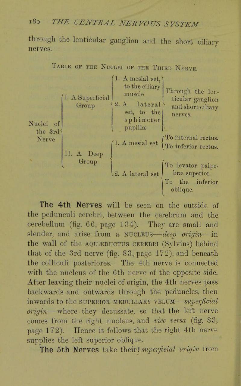 through the lenticular ganglion and the short ciliary nerves. Table of the Nuclei of the Third Nerve. '1. A mesial set,' to the ciliary I. A Superficial Group Nuclei of the Zt({\ Nerve muscle < 2. A lateral set, to the sphincter pupilla3 ri. A mesial set II. A Deep Group { Through the len- ticular ganglion and short ciliary nerves. To internal rectus. To inferior rectus. To levator palpe- v2. A lateral set f hr?e superior. To the inferior oblique. The 4th Nerves will be seen on the outside of the pedunculi cerebri, between the cerebrum and the cerebellum (fig. G6, page 134). They are small and slender, and arise from a nucleus—dee]) origin—in the wall of the aqu^-eductus cerebri (Sylvius) behind that of the 3rd nerve (fig. 83, page 172), and beneath the colliculi posteriores. The 4th nerve is connected with the nucleus of the 6th nerve of the opposite side. After leaving their nuclei of origin, the 4th nerves pass backwards and outwards through the peduncles, then inwards to the superior medullary velum—s^qjerficial origin—where they decussate, so that the left nerve comes from the right nucleus, and vice versa (fig. 83, page 172). Hence it follows that the right 4th nerve supplies the left superior oblique. The 5th Nerves take their I mqjer/lcicd origin from