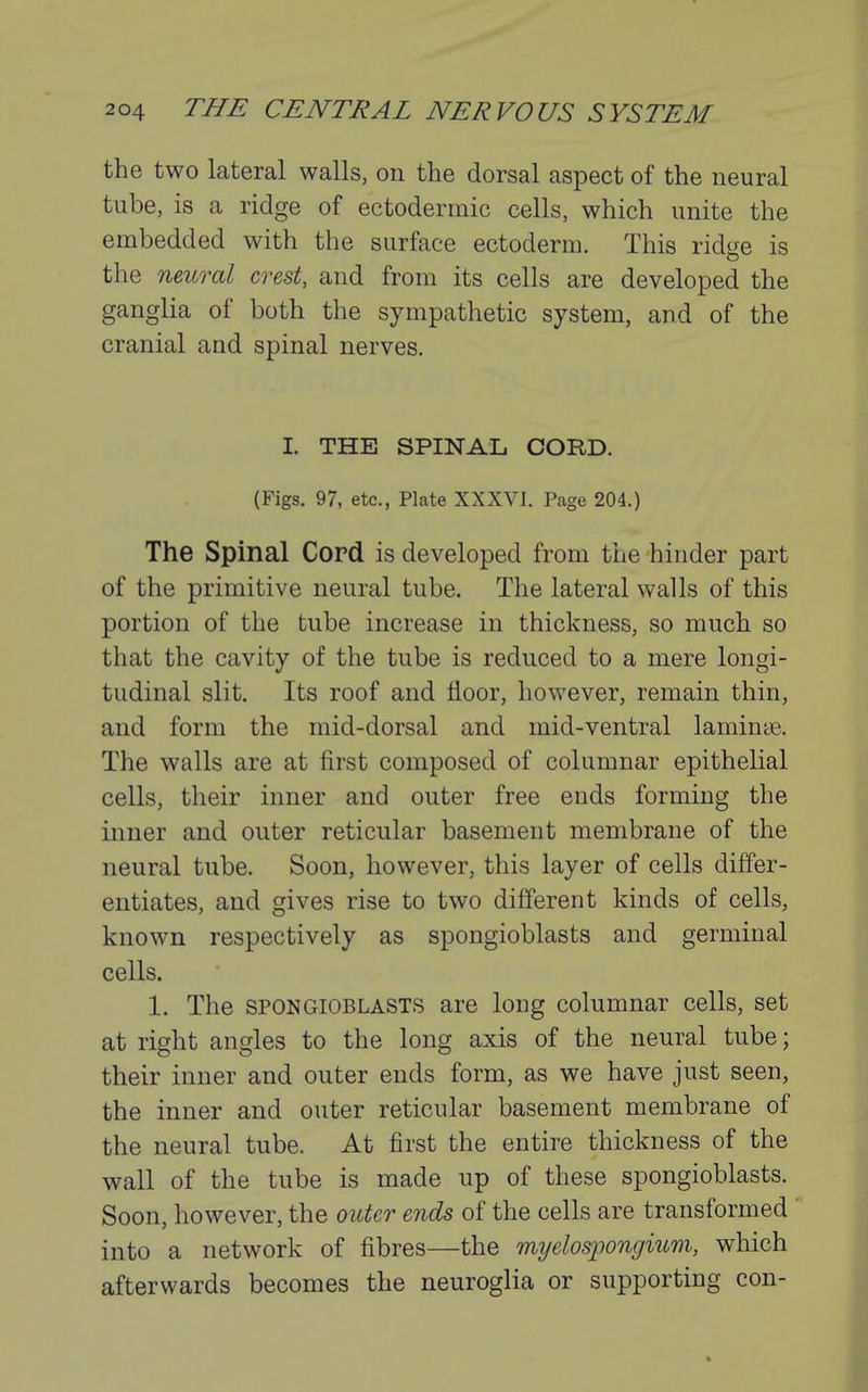 the two lateral walls, on the dorsal aspect of the neural tube, is a ridge of ectodermic cells, which unite the embedded with the surface ectoderm. This ridge is the neural crest, and from its cells are developed the ganglia of both the sympathetic system, and of the cranial and spinal nerves. I. THE SPINAL CORD. (Figs. 97, etc., Plate XXXVl. Page 204.) The Spinal Cord is developed from the hinder part of the primitive neural tube. The lateral walls of this portion of the tube increase in thickness, so much so that the cavity of the tube is reduced to a mere longi- tudinal slit. Its roof and floor, however, remain thin, and form the mid-dorsal and mid-ventral lamime. The walls are at first composed of columnar epithelial cells, their inner and outer free ends forming the inner and outer reticular basement membrane of the neural tube. Soon, however, this layer of cells differ- entiates, and gives rise to two different kinds of cells, known respectively as spongioblasts and germinal cells. 1. The SPONGIOBLASTS are long columnar cells, set at right angles to the long axis of the neural tube; their inner and outer ends form, as we have just seen, the inner and outer reticular basement membrane of the neural tube. At first the entire thickness of the wall of the tube is made up of these spongioblasts. Soon, however, the outer ends of the cells are transformed into a network of fibres—the myelospongium, which afterwards becomes the neuroglia or supporting con-