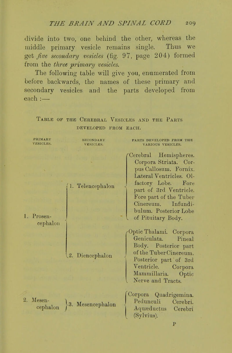 divide into two, one behind the other, whereas the middle primary vesicle remains single. Thus we get five secondary vesicles (fig. 97, page 204) formed from the three prwiary vesicles. The following table will give you, enumerated from before backwards, the names of these primary and secondary vesicles and the parts developed from each ;— Table of the Cerebral Vesicles and the Parts developed from each. PRIMARY ViSSICLES. SECONDARY VESICLES. ' 1. Telencephalon 1. Prosen- cephalon ,.2. Diencephalon PARTS DEVELOPED FROM THE VARIOUS VESICLES. ^Cerebral Hemispheres. Corpora Striata. Cor- pus Callosnm. Fornix. Lateral Ventricles. Ol- factory Lobe. Fore part of 3rd Ventricle. Fore part of the Tuber Cinereum. Infundi- bulum. Posterior Lobe . of Pituitary Body. Optic Thalanii. Corpora Geniculata. Pineal Body, Posterior part of the Tuber Cinereum. Posterior part of 3rd Ventricle. Corpora Mamniillaria. Optic Nerve and Tracts. 2. Mesen- 1 „ ,r , , cephalon j^' Mesencephalon Corpora Quadrigemina. Pedunculi Cerebri. Aquieductus Cerebri (Sylvius).