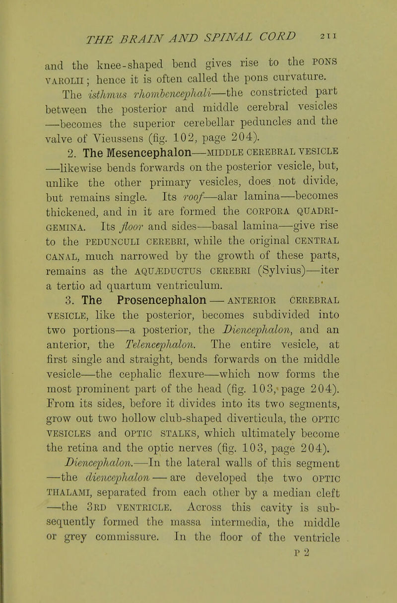 and the kuee-shaped bend gives rise to the PONS VAROLII; hence it is often called the pons curvature. The isthmus rhombcncephali—the constricted part between the posterior and middle cerebral vesicles —becomes the superior cerebellar peduncles and the valve of Vieussens (fig. 102, page 204). 2. The Mesencephalon—middle cerebral vesicle —likewise bends forwards on the posterior vesicle, but, unlike the other primary vesicles, does not divide, but remains single. Its roof—alar lamina—becomes thickened, and in it are formed the CORPORA QUADRI- GEMINA. Its floor and sides—basal lamina—give rise to the PEDUNCULI CEREBRI, while the original central CANAL, much narrowed by the growth of these parts, remains as the aqu^ductus cerebri (Sylvius)—iter a tertio ad quartum ventriculum. 3. The Pposencephalon — anterior cerebral vesicle, like the posterior, becomes subdivided into two portions—a posterior, the Diencephalon, and an anterior, the Telencephalon. The entire vesicle, at first single and straight, bends forwards on the middle vesicle—the cephalic flexure—which now forms the most prominent part of the head (fig. 103,^ page 204). From its sides, before it divides into its two segments, grow out two hollow club-shaped diverticula, the optic VESICLES and optic stalks, which ultimately become the retina and the optic nerves (fig. 103, page 204). Biencephalon.—In the lateral walls of this segment —the diencephalon — are developed the two optic THALAMi, separated from each other by a median cleft —the 3rd VENTRICLE. Across this cavity is sub- sequently formed the massa intermedia, the middle or grey commissure. In the floor of the ventricle p 2