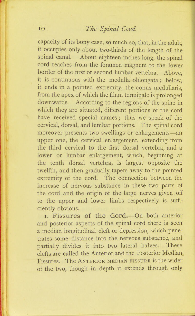 capacity of its bony case, so much so, that, in the adult, it occupies only about two-thirds of the length of the spinal canal. About eighteen inches long, the spinal cord reaches from the foramen magnum to the lower border of the first or second lumbar vertebra. Above, it is continuous with the medulla oblongata; below, it ends in a pointed extremity, the conus medullaris, from the apex of which the filum terminale is prolonged downwards. According to the regions of the spine in which they are situated, different portions of the cord have received special names; thus we speak of the cervical, dorsal, and lumbar portions. The spinal cord moreover presents two swellings or enlargements—an upper one, the cervical enlargement, extending from the third cervical to the first dorsal vertebra, and a lower or lumbar enlargement, which, beginning at the tenth dorsal vertebra, is largest opposite the twelfth, and then gradually tapers away to the pointed extremity of the cord. The connection between the increase of nervous substance in these two parts of the cord and the origin of the large nerves given off to the upper and lower limbs respectively is suffi- ciently obvious. I. Fissures of the Cord.—On both anterior and posterior aspects of the spinal cord there is seen a median longitudinal cleft or depression, which pene- trates some distance into the nervous substance, and partially divides it into two lateral halves. These clefts are called the Anterior and the Posterior Median, Fissures. The Anterior median fissure is the wider of the two, though in depth it extends through only