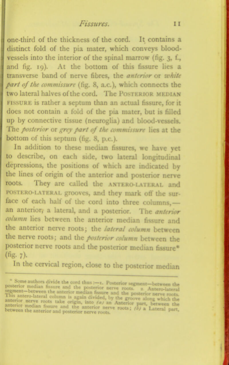 Fissures. )ne-third of the thickness of the cord. It contains a listinct fold of the pia mater, which conveys blood- vessels into the interior of the spinal marrow (fig. 3, f., and fig. 19). At the bottom of this fissure lies a transverse band of nerve fibres, the anttrior or wkiU part of the commissure (fig. 8, a.c.), whirh connects the two lateral halves of the cord. The i . rior median FISSURE is rather a septum than an actual fissure, for it does not contain a fold of the pia mater, but is filled up by connective tissue (neuroglia) and blood-vessds. The posterior or grey part of the commissure lies at the bottom of this septum (fig. 8, p.c). In addition to these median fissures, we have yet to describe, on ca< h side, two lateral longitudinal depressions, the j ns of which arc I by the lines of origin oi iiic a posterior nerve roots. They are called M. and iH)srKRoiw\TF.RAi. groovcs. antl they n sur- face of each half of the cord into three columns.— an anterior, a . and a po >r €olumn lies between the a; ) fissure and the anterior nerve roots; the iaterat column h<»tween the nerve roots; and the / nn bi . the l)Osterior nerve roots and the \ . .or mctiun fi«v«5tirc» 7). In the cervical region, close to the posterior median * Some aulhorn HivtH^ th^ o>rr1 thu< —r. Pr-*xmot ■■■-iim • jHtstcnor - . sec men t- » q ' *« postencr ;,<rve roots.. ar>; ^ groove along wUch the antenor median ^ i***^ ecu inc anieru r .»ik. ; ;ier\e roota^