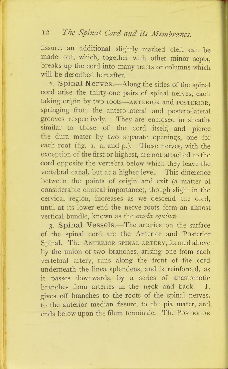 fissure, an additional slightly marked cleft can be made out, which, together with other minor septa, breaks up the cord into many tracts or columns which will be described hereafter. 2. Spinal Nerves.—Along the sides of the spinal cord arise the thirty-one pairs of spinal nerves, each taking origin by two roots—anterior and posterior, springing from the antero-lateral and postero-lateral grooves respectively. They are enclosed in sheaths similar to those of the cord itself, and pierce the dura mater by two separate openmgs, one for each root (fig. i, a. and p.). These nerves, with the exception of the first or highest, are not attached to the cord opposite the vertebra below which they leave the vertebral canal, but at a higher level. This difference between the points of origin and exit (a matter of considerable clinical importance), though slight in the cervical region, increases as we descend the cord, until at its lower end the nerve roots form an almost vertical bundle, known as the caiida equincf. 3. Spinal Vessels.—The arteries on the surface of the spinal cord are the Anterior and Posterior Spinal. The Anterior spinal artery, formed above by the union of two branches, arising one from each vertebral artery, runs along the front of the cord underneath the linea splendens, and is reinforced, as it passes downwards, by a series of anastomotic branches from arteries in the neck and back. It gives off branches to the roots of the spinal nerves, to the anterior median fissure, to the pia mater, and, ends below upon the filum terminale. The Posterior