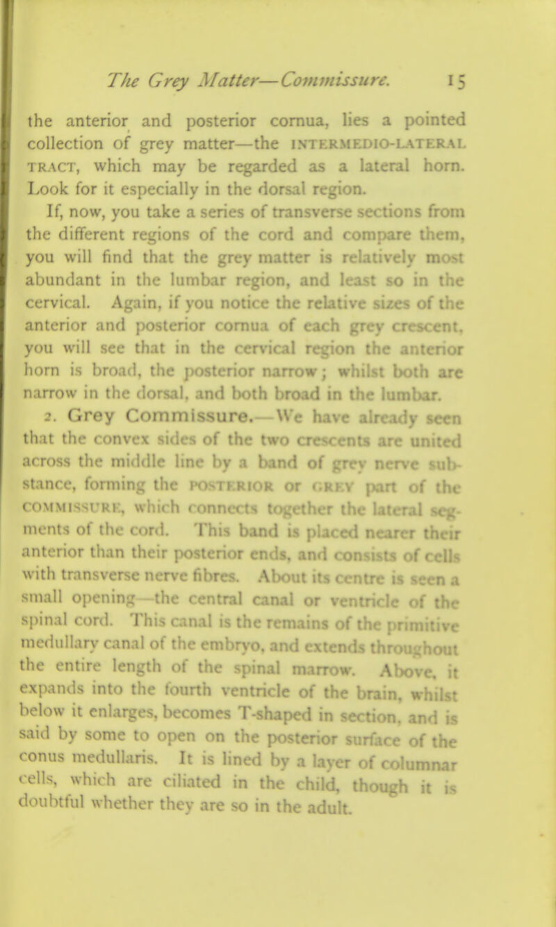 the anterior and posterior comua, lies a pointed collection of grey matter—the intkrmedio-lateral TRACT, which may be regarded as a lateral horn. Look for it especially in the dorsal region. If, now, you take a series of transverse sections from the different regions of the cord and rr»m*^are them, you will find that the grey matter is r. cly most abundant in the lumbar region, and least so in the cervical. Again, if you notice the relative sizes of the anterior and posterior comua of each grey crescent, you will see that in the cervical region the anterior horn is broad, the ])osterior narrow; whilst both arc narrow in the dorsal, and both broad in the lumbar. 2. Grey Commissure.—We have already iccn that the convex sides of the two cre^ are i: across the middle line by a band of ^rt y i»ui>- stancc, forming the po )R or <,rkv |>ari of the ( oMMi^si'Rv; which together the mcnts of the cord. i •! nearer their interior than their p s. and c onsists of cells with transverse nerve hi t its centre is seen a small opening - the central canal or ventricle of the spinal cord. This canal is the r< ^ of thf \ ve medullary canal of the emhrvo. and fx- nighout the entire length of the Above, it expands into the fourth v ;e of the brain, whilst below it enlarges, becomes T-shaped in s^r-^^, and is said by some to open on the posterior ^ ...... e of the ronus medullaris. It is lined by a layer of columnar ells, which are ciliated in the child, though it is doubtful whether they are so in the adult.