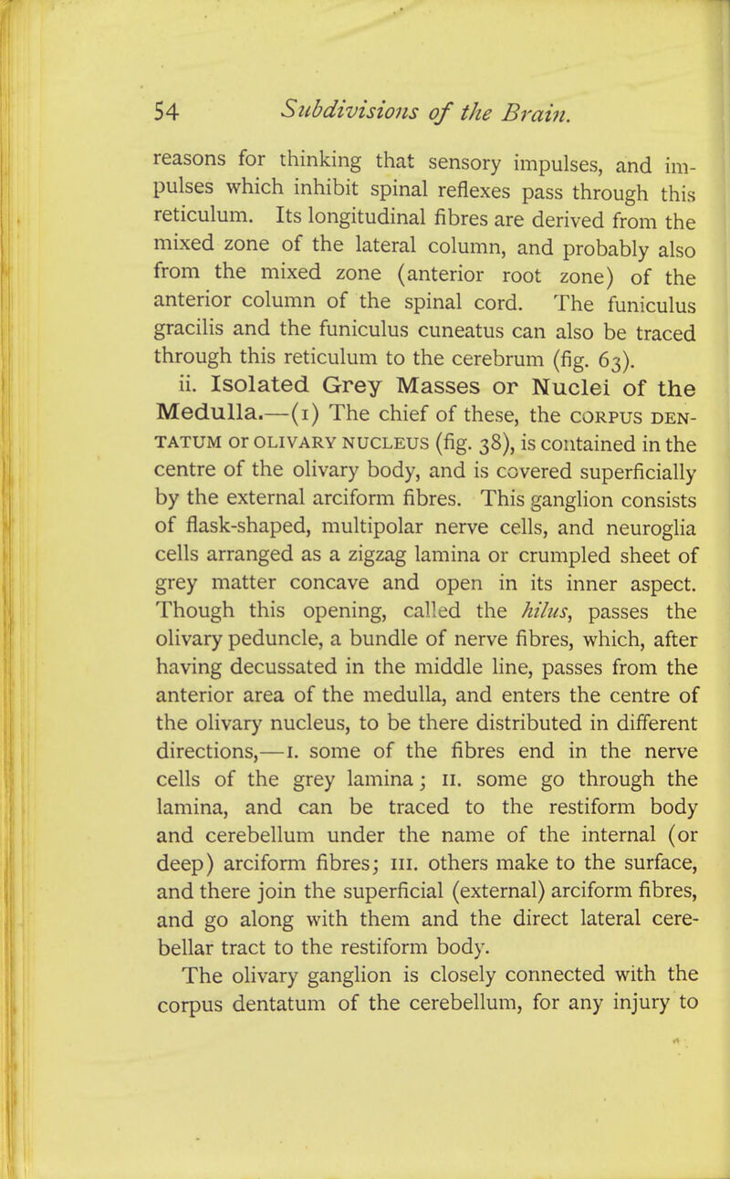 reasons for thinking that sensory impulses, and im- pulses which inhibit spinal reflexes pass through this reticulum. Its longitudinal fibres are derived from the mixed zone of the lateral column, and probably also from the mixed zone (anterior root zone) of the anterior column of the spinal cord. The funiculus gracilis and the funiculus cuneatus can also be traced through this reticulum to the cerebrum (fig. 63). ii. Isolated Grey Masses or Nuclei of the Medulla.—(i) The chief of these, the corpus den- TATUM or OLIVARY NUCLEUS (fig. 38), is contained in the centre of the olivary body, and is covered superficially by the external arciform fibres. This ganglion consists of flask-shaped, multipolar nerve cells, and neuroglia cells arranged as a zigzag lamina or crumpled sheet of grey matter concave and open in its inner aspect. Though this opening, called the hilus^ passes the olivary peduncle, a bundle of nerve fibres, which, after having decussated in the middle line, passes from the anterior area of the medulla, and enters the centre of the olivary nucleus, to be there distributed in different directions,—\. some of the fibres end in the nerve cells of the grey lamina; ii. some go through the lamina, and can be traced to the restiform body and cerebellum under the name of the internal (or deep) arciform fibres; in. others make to the surface, and there join the superficial (external) arciform fibres, and go along with them and the direct lateral cere- bellar tract to the restiform body. The olivary ganglion is closely connected with the corpus dentatum of the cerebellum, for any injury to