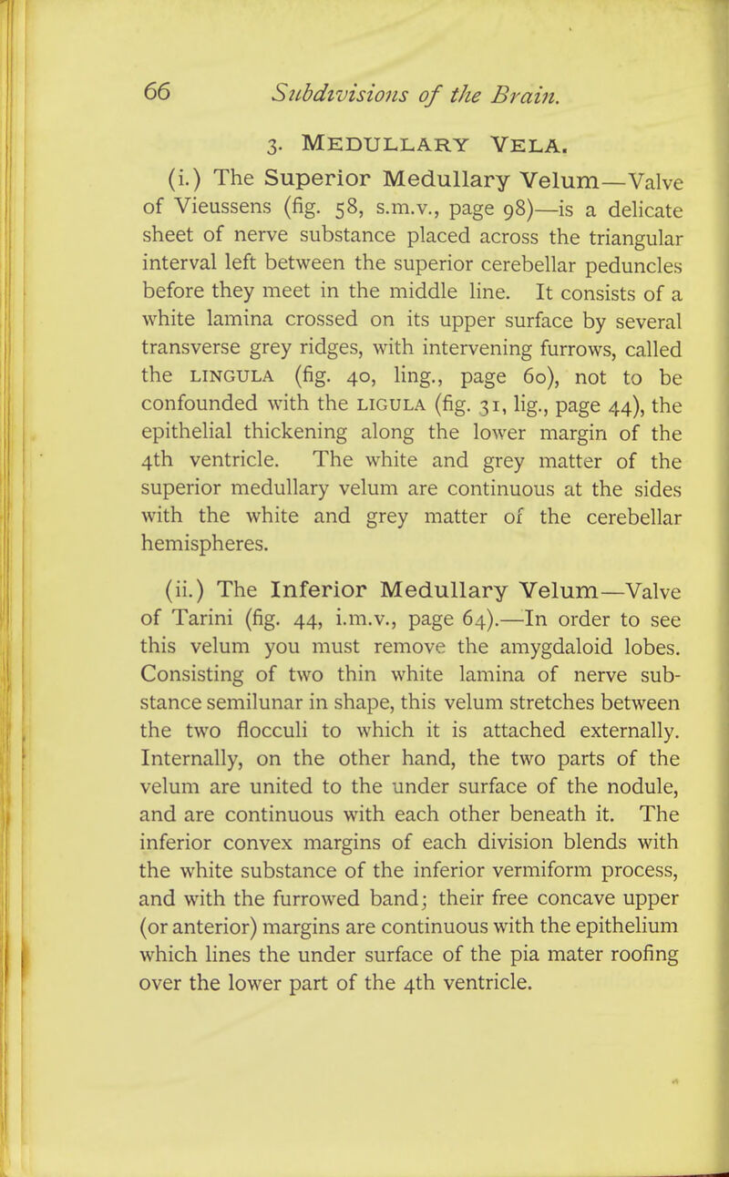 3. Medullary Vela. (i.) The Superior Medullary Velum—Valve of Vieussens (fig. 58, s.m.v., page 98)—is a delicate sheet of nerve substance placed across the triangular interval left between the superior cerebellar peduncles before they meet in the middle line. It consists of a white lamina crossed on its upper surface by several transverse grey ridges, with intervening furrows, called the LiNGULA (fig. 40, ling., page 60), not to be confounded with the ligula (fig. 31, lig., page 44), the epithelial thickening along the lower margin of the 4th ventricle. The white and grey matter of the superior medullary velum are continuous at the sides with the white and grey matter of the cerebellar hemispheres. (ii.) The Inferior Medullary Velum—Valve of Tarini (fig. 44, i.m.v., page 64).—-In order to see this velum you must remove the amygdaloid lobes. Consisting of two thin white lamina of nerve sub- stance semilunar in shape, this velum stretches between the two flocculi to which it is attached externally. Internally, on the other hand, the two parts of the velum are united to the under surface of the nodule, and are continuous with each other beneath it. The inferior convex margins of each division blends with the white substance of the inferior vermiform process, and with the furrowed band; their free concave upper (or anterior) margins are continuous with the epithelium which lines the under surface of the pia mater roofing over the lower part of the 4th ventricle.