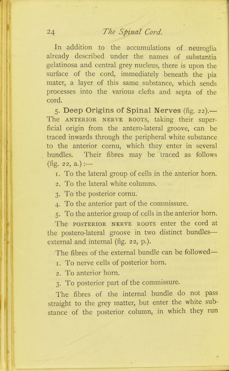 In addition to the accumulations of neuroglia already described under the names of substantia gelatinosa and central grey nucleus, there is upon the surface of the cord, immediately beneath the pia mater, a layer of this same substance, which sends processes into the various clefts and septa of the cord. 5. Deep Origins of Spinal Nerves (fig. 22).— The ANTERIOR NERVE ROOTS, taking their super- ficial origin from the antero-lateral groove, can be traced inwards through the peripheral white substance to the anterior cornu, which they enter in several bundles. Their fibres may be traced as follows (fig. 22, a.):— 1. To the lateral group of cells in the anterior horn. 2. To the lateral white columns. 3. To the posterior cornu. 4. To the anterior part of the commissure. 5. To the anterior group of cells in the anterior horn. The POSTERIOR NERVE ROOTS enter the cord at the postero-lateral groove in two distinct bundles— external and internal (fig. 22, p.). The fibres of the external bundle can be followed— 1. To nerve cells of posterior horn. 2. To anterior horn. 3. To posterior part of the commissure. The fibres of the internal bundle do not pass straight to the grey matter, but enter the white sub- stance of the posterior column, in which they run