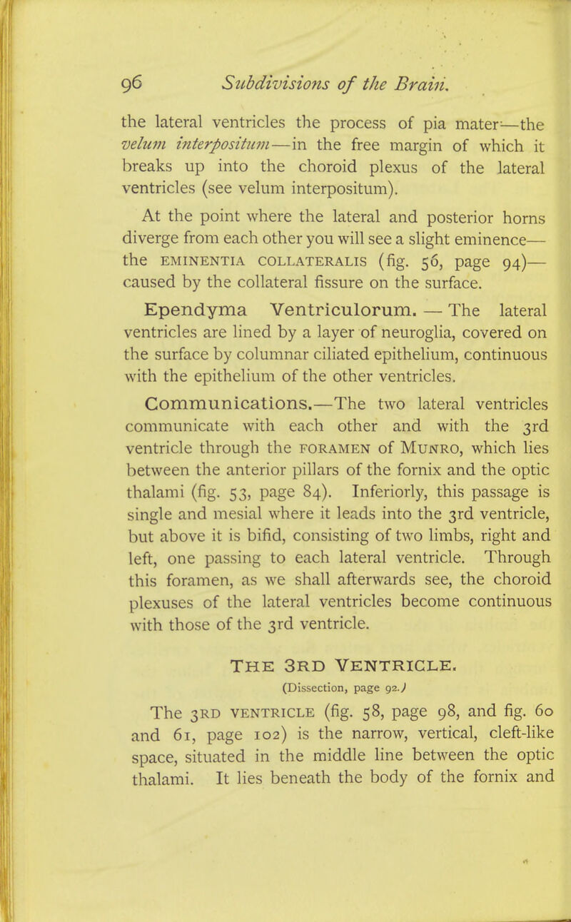 the lateral ventricles the process of pia mater^—the velum interposihim—in the free margin of which it breaks up into the choroid plexus of the lateral ventricles (see velum interpositum). At the point where the lateral and posterior horns diverge from each other you will see a slight eminence— the EMINENTIA COLLATERALIS (fig. 56, page 94) caused by the collateral fissure on the surface. Ependyma Ventriculorum. — The lateral ventricles are lined by a layer of neuroglia, covered on the surface by columnar ciliated epithelium, continuous with the epithelium of the other ventricles. Communications.—The two lateral ventricles communicate with each other and with the 3rd ventricle through the foramen of Munro, which lies between the anterior pillars of the fornix and the optic thalami (fig, 53, page 84). Inferiorly, this passage is single and mesial where it leads into the 3rd ventricle, but above it is bifid, consisting of two limbs, right and left, one passing to each lateral ventricle. Through this foramen, as we shall afterwards see, the choroid plexuses of the lateral ventricles become continuous with those of the 3rd ventricle. THE 3rd Ventricle. (Dissection, page 92J The 3RD VENTRICLE (fig. 58, page 98, and fig. 60 and 61, page 102) is the narrow, vertical, cleft-like space, situated in the middle line between the optic thalami. It lies beneath the body of the fornix and