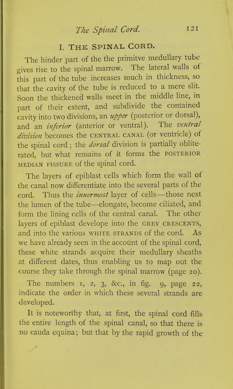 The Spinal Cord. I. thk Spinal Cord. The hinder part of the the primitve medullary tube gives rise to the spinal marrow. The lateral walls of this part of the tube increases much in thickness, so that the cavity of the tube is reduced to a mere slit. Soon the thickened walls meet in the middle line, in part of their extent, and subdivide the contained cavity into two divisions, an upper (posterior or dorsal), and an inferior (anterior or ventral). The ve?itral division becomes the central canal (or ventricle) of the spinal cord; the dorsal division is partially oblite- rated, but what remains of it forms the posterior MEDIAN FISSURE of the Spinal cord. The layers of epiblast cells which form the wall of the canal now differentiate into the several parts of the cord. Thus the innermost layer of cells—those next the lumen of the tube—elongate, become ciliated, and form the lining cells of the central canal. The other layers of epiblast develope into the grey crescents, and into the various white strands of the cord. As we have already seen in the account of the spinal cord, these white strands acquire their medullary sheaths at different dates, thus enabling us to map out the course they take through the spinal marrow (page 20). The numbers i, 2, 3, &c., in fig. 9, page 22, indicate the order in which these several strands are developed. It is noteworthy that, at first, the spinal cord fills the entire length of the spinal canal, so that there is no Cauda equina; but that by the rapid growth of the