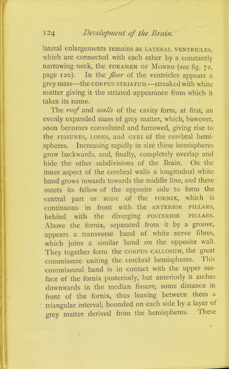 lateral enlargements remains as lateral ventricles, which are connected with each other by a constantly narrowing neck, the foramen of Monro (see fig. 72, page 120). In the fioor of the ventricles appears a grey mass—the corpus striatum—streaked with white matter giving it the striated appearance from which it takes its name. The roof and walls of the cavity form, at first, an evenly expanded mass of grey matter, which, however, soon becomes convoluted and furrowed, giving rise to the FISSURES, LOBKS, and gyri of the cerebral hemi- spheres. Increasing rapidly in size these hemispheres grow backwards, and, finally, completely overlap and hide the other subdivisions of the Brain. On the inner aspect of the cerebral walls a longitudnal white band grows inwards towards the middle line, and there meets its fellow of the opposite side to form the central part or body of the fornix, which is continuous in front with the anterior pillars, behind with the diverging posterior pillars. Above the fornix, separated from it by a groove, appears a transverse band of white nerve fibres, which joins a similar band on the opposite wall. They together form the corpus callosum, the great commissure uniting the cerebral hemispheres. This commissural band is in contact with the upper sur- face of the fornix posteriorly, but anteriorly it arches downwards in the median fissure, some distance in front of the fornix, thus leaving between them a triangular interval, bounded on each side by a layer of grey matter derived from the hemispheres. These