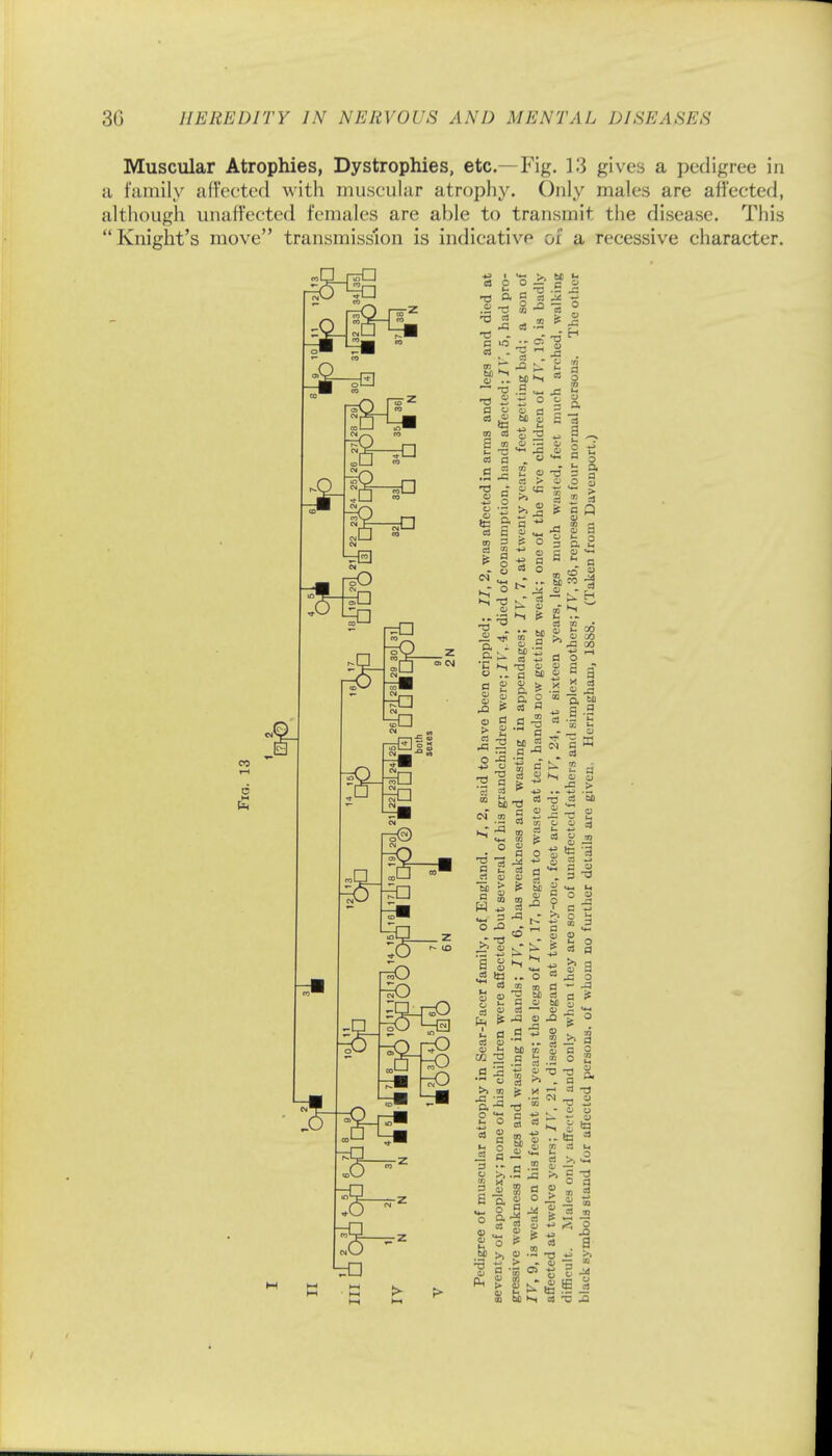 Muscular Atrophies, Dystrophies, etc.- Fig. 13 gives a pedigree in a family affected with muscular atrophy. Only males are affected, although unaffected females are able to transmit the disease. This Knight's move transmission is indicative of a recessive character. o 0 t£3 d 6 O & M J- ■a n T5 . c U3 01 . 5 o - S8 2 J3 a) • .3 t- c — .S JS t3 2 S o a es S ; H 3 >fl C :3 2 a ^ « > a> to £■ n •* - OS H ?» •§ in = S O 3 cj S 5 o o a 5 S 5 1 05 a K P y <*-« * a - be ro 3 ^ * hT 11 fc & „IR I |7i » B g & O =0 15. i ^ .2 co n t3 o <u a j o £ %. Z .2 2 2 ^ •* 01 2 - I -a S -S d -is a ~ - .2 -a 3 o 13 45 -*J - a CM m i^r 13 h, —i os — =s so o _ a 3 ^ » s? Si t; - 05 0> 0) d 03 Si a § & °- £ ® ~ - »j P- i^. 1 fc * to P - 0 — o 8 *5 '3 . 3 ■a a ~> cc a cs a k, ^ >. a J2 tn a — -fl ^3 M 03 a f- _ a o m s 0J 03 —' - to 2^ 03 O QJ ^ 02 ■a s .a - s a u § 8 .9 13 s ft ' O 1 ra a 03 a cs a a ^ :- a i'l C7J K  3 rS « ^ 5 ^ a oi 2 .- to « 03 u M ^ 0 03 >j t«4 Oj — ^ §3 o ra 03 ai id J > . S -= - x a -s o> - ?, „ g fc- la a j m M >~i c3 C J