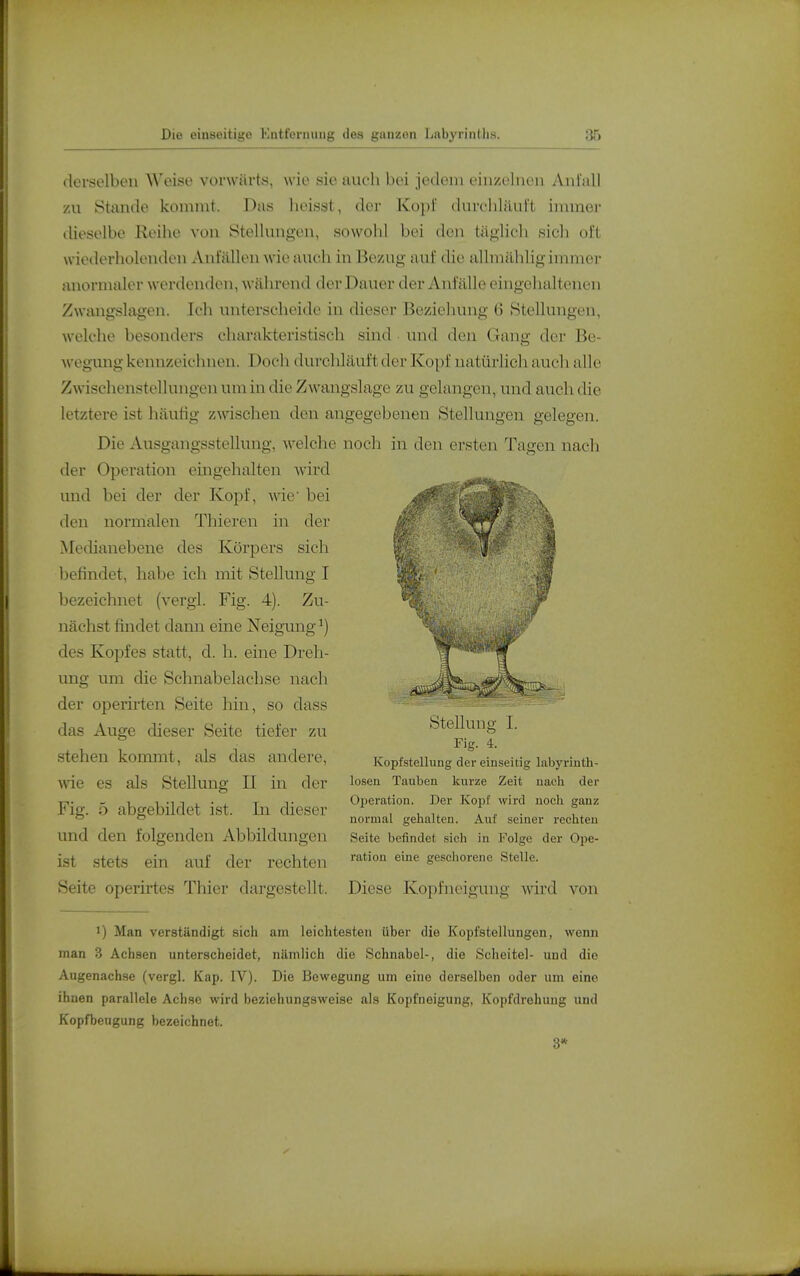 derselben Weise vorwärts, wie sie auch bei jedem ein/einen Anfall /AI Stande kommt. Das heisst, der Kopf durelilüuft immer dieselbe Reihe \-on Stellungen, sowohl bei den täglich sich oft wiederholenden Anfällen wie auch in Bezug auf die allmähligimmei- anormaler werdenden, während der Dauer der Anfälle eingeiialtenen Zwangslagen. Ich unterscheide in dieser Beziehung 6 Stellungen, welche besonders charakteristisch sind und den Gang der Be- wegung kennzeichnen. Doch durclüäuft der Kopf natürlich auch alle Zwischenstellungen um in die Zwangslage zu gelangen, und auch die letztere ist häufig zwischen den angegebenen Stellungen gelegen. Die Ausgangsstellung, welche noch in den ersten Tagen nach der Operation eingehalten wird und bei der der Kopf, wie bei den normalen Thieren in der Medianebene des Körpers sich befindet, habe ich mit Stellung I bezeichnet (vergl. Fig. 4). Zu- nächst findet dann eine Neigamg ^) des Kopfes statt, d. h. eine Dreh- ung um die Schnabelachse nach der operirten Seite hin, so dass das Auge dieser Seite tiefer zu stehen kommt, als das andere, wie es als Stellung II in der Fig. 5 abgebildet ist. In dieser und den folgenden Abbildungen ist stets ein auf der rechten Seite operirtes Thier dargestellt. Diese Kopfneigung wird von Stellung I. Fig. 4. Kopfstellung der einseitig labyrinth- losen Tauben kurze Zeit nach der Ojjeration. Der Kopf wird nocli ganz normal gehalten. Auf seiner rechten Seite befindet sich in Folge der Ope- ration eine geschorene Stelle. 1) Man verständigt sich am leichtesten über die Kopfstellungen, wenn man 3 Achsen unterscheidet, nämlich die Schnabel-, die Scheitel- und die Augenachse (vergl. Kap. IV). Die Bewegung um eine derselben oder um eine ihnen parallele Achse wird beziehungsweise als Kopfneigung, Kopfdrohung und Kopfbeugung bezeichnet.