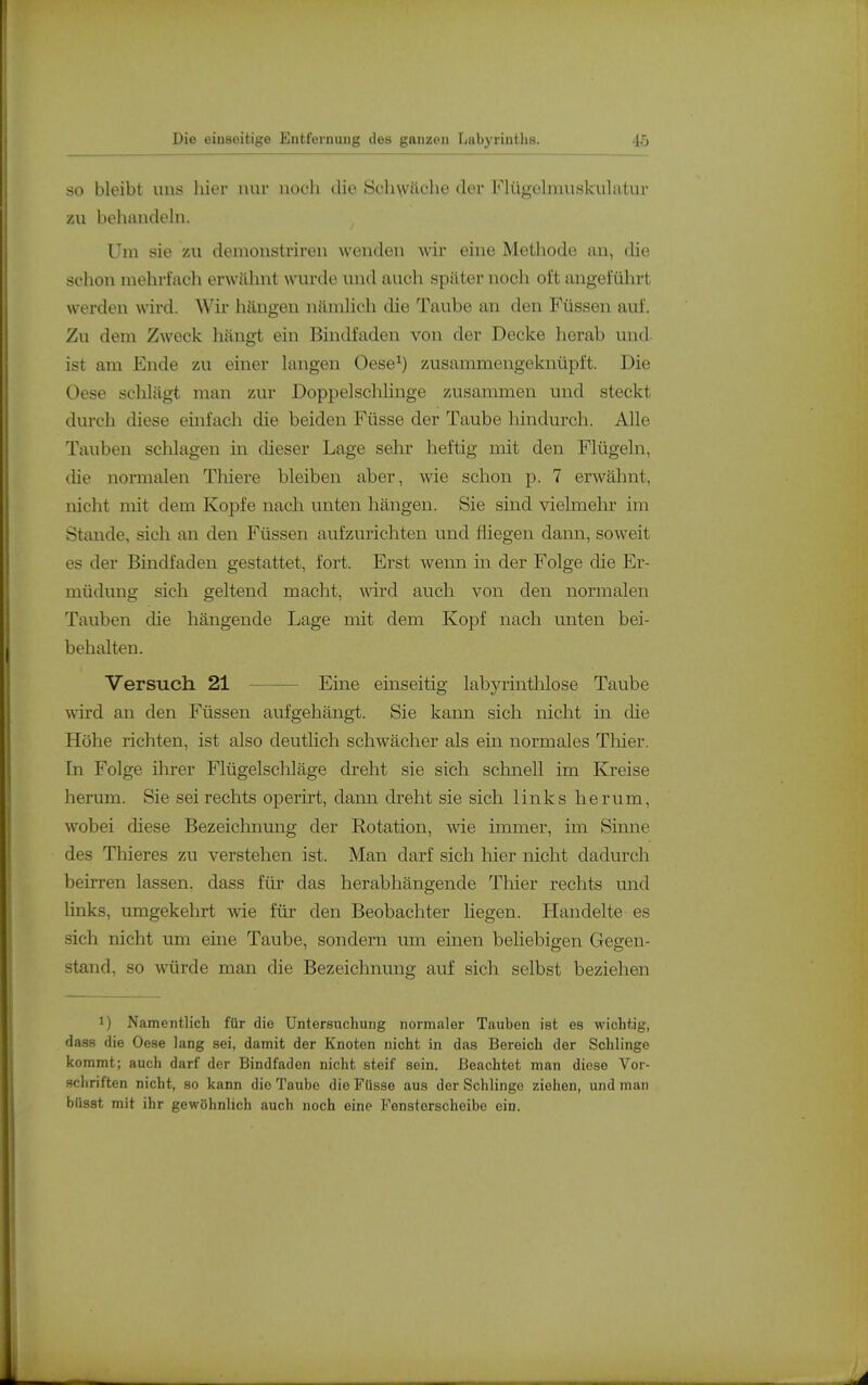 SO bleibt uns liier nur noch die Sch\vflche der Flügelmuskulatur zu behandeln. Um sie zu demonstrireu wenden wir eine Methode an, die schon mehrfach erwflhnt wurde und auch später noch oft angefülu-t werden wird. Wir hängen nämlich die Taube an den Füssen auf. Zu dem Zweck hängt ein Bindfaden von der Decke herab und- ist am Ende zu einer langen Oese^) zusammengeknüpft. Die Oese schlägt man zur Doppelschlinge zusammen und steckt durch diese einfach die beiden Füsse der Taube hindurch. Alle Tauben schlagen in dieser Lage sehr heftig mit den Flügeln, die normalen Tlüere bleiben aber, wie schon p. 7 erwähnt, nicht mit dem Kopfe nach unten hängen. Sie sind vielmelir im Stande, sich an den Füssen aufzurichten und fliegen dann, soweit es der Bindfaden gestattet, fort. Erst wenn in der Folge die Er- müdung sich geltend macht, wrd auch von den normalen Tauben die hängende Lage mit dem Kopf nach unten bei- behalten. Versuch 21 Eine einseitig labyrintlilose Taube wird an den Füssen aufgehängt. Sie kann sich nicht in die Höhe richten, ist also deuthch schwächer als ein normales Thier. In Folge ihrer Flügelschläge dreht sie sich sclinell im Kreise herum. Sie sei rechts operirt, dann dreht sie sich links herum, wobei diese Bezeichnung der Rotation, wie immer, im Sinne des Thieres zu verstehen ist. Man darf sich hier nicht dadurch beirren lassen, dass für das herabhängende Thier rechts und hnks, umgekehrt wie für den Beobachter Hegen. Handelte es sich nicht um eine Taube, sondern um einen beliebigen Gegen- stand, so würde man die Bezeiclinung auf sich selbst beziehen 1) Namentlich für die Untersuchung norm.aler Tauben ist es wichtig, dass die Oese lang sei, damit der Knoten nicht in das Bereich der Schlinge kommt; auch darf der Bindfaden nicht steif sein. Beachtet man diese Vor- .Hchriften nicht, so kann die Taube die Füsse aus der Schlinge ziehen, und man büsst mit ihr gewöhnlich auch noch eine Fensterscheibe ein.