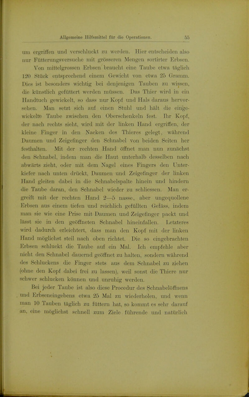 um erfrriftou und vovschluekt zu Averdon. Hier entscheiden also nur Füttcrungsversuclio mit grösseren Mengen sortirter l^rbsen. \\-)n mittelgrosseu Erbsen braucht eine Taube etwa tägUcli 120 »Stück entsprechend einem Gewiclit von etwa 25 Gramm. Dies ist besonders wichtig bei denjenigen Tauben yai wiesen, die künstlich gefüttert werden müssen. Das Thier wird in ein Handtuch gCAvickelt, so dass nur Kopf und Plals daraus hervor- sehen. Man setzt sich auf einen Stuhl und hält die einge- wickelte Taube zwischen den Oberschenkeln fest. Ihr Kopf, der nach rechts sieht, wird mit der hnken Hand ergriffen, der kleine Finger in den Nacken des Thieres gelegt, während Daumen und Zeigefinger den Schnabel von beiden Seiten her festhalten. Mit der rechten Hand öffnet man nun zunächst den Schnabel, indem man die Haut unterhalb desselben nach abwärts zieht, oder mit dem Nagel eines Fingers den Unter- kiefer nach unten drückt, Daumen und Zeigefinger der linken Hand gleiten dabei in die Schnabelspalte hinein und hindern die Taube daran, den Schnabel wieder zu schliessen. Man er- greift mit der rechten Hand 2—5 nasse, aber ungequoUene Erbsen aus einem tiefen und reiclilich gefüllten Gefäss, indem man sie wie eine Prise mit Daumen und Zeigefinger packt und lässt sie in den geöffneten Schnabel liineinfallen. Letzteres wird dadurch erleichtert, dass man den Kopf mit der linken Hand möghchst steil nach oben richtet. Die so eingebrachten Erbsen schluckt die Taube auf ein Mal. Ich empfehle aber nicht den Schnabel dauernd geöffnet zu halten, sondern während des Schluckens die Finger stets aus dem Schnabel zu ziehen (ohne den Kopf dabei frei zu lassen), weil sonst die Thiere nur schwer schlucken können und unruhig werden. Bei jeder Taube ist also diese Procedur des Schnabelöfliiens und Erbseneingebens etwa 25 Mal zu wiederholen, und wenn man 10 Tauben täglich zu füttern hat, so kommt es sehr darauf an, eine möglichst schnell zum Ziele führende und natürlich